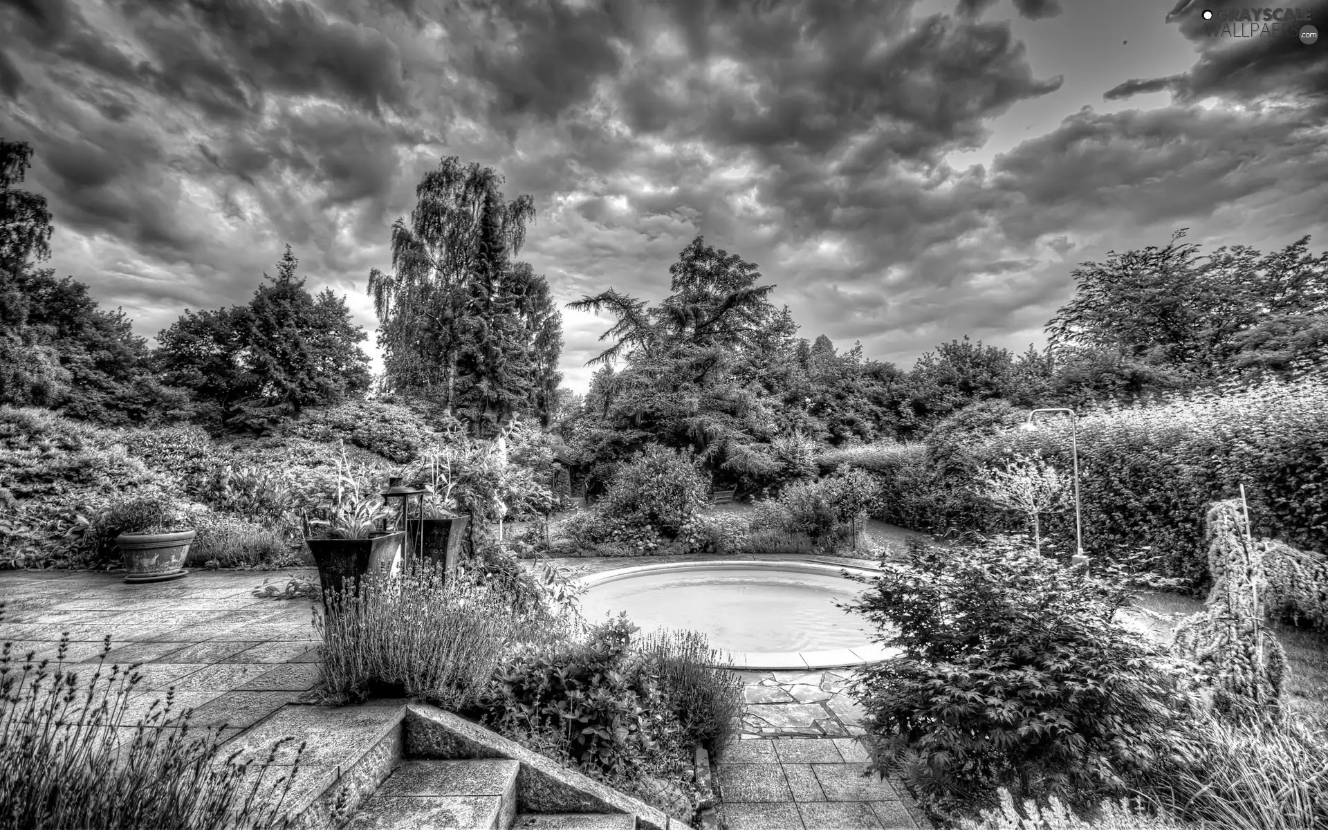 trees, Park, Bush, Flowers, viewes, Pool