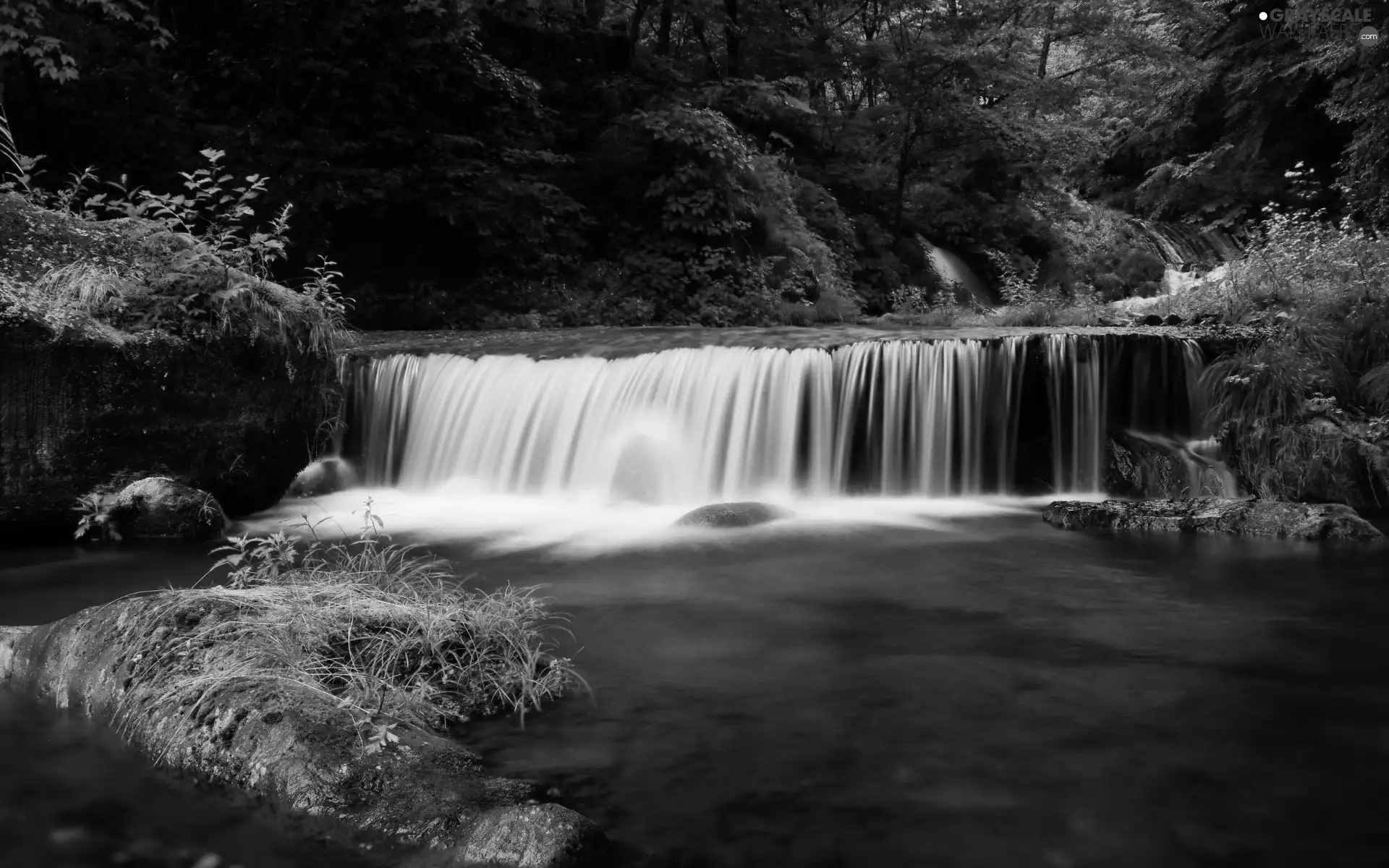 Bush, waterfall, forest