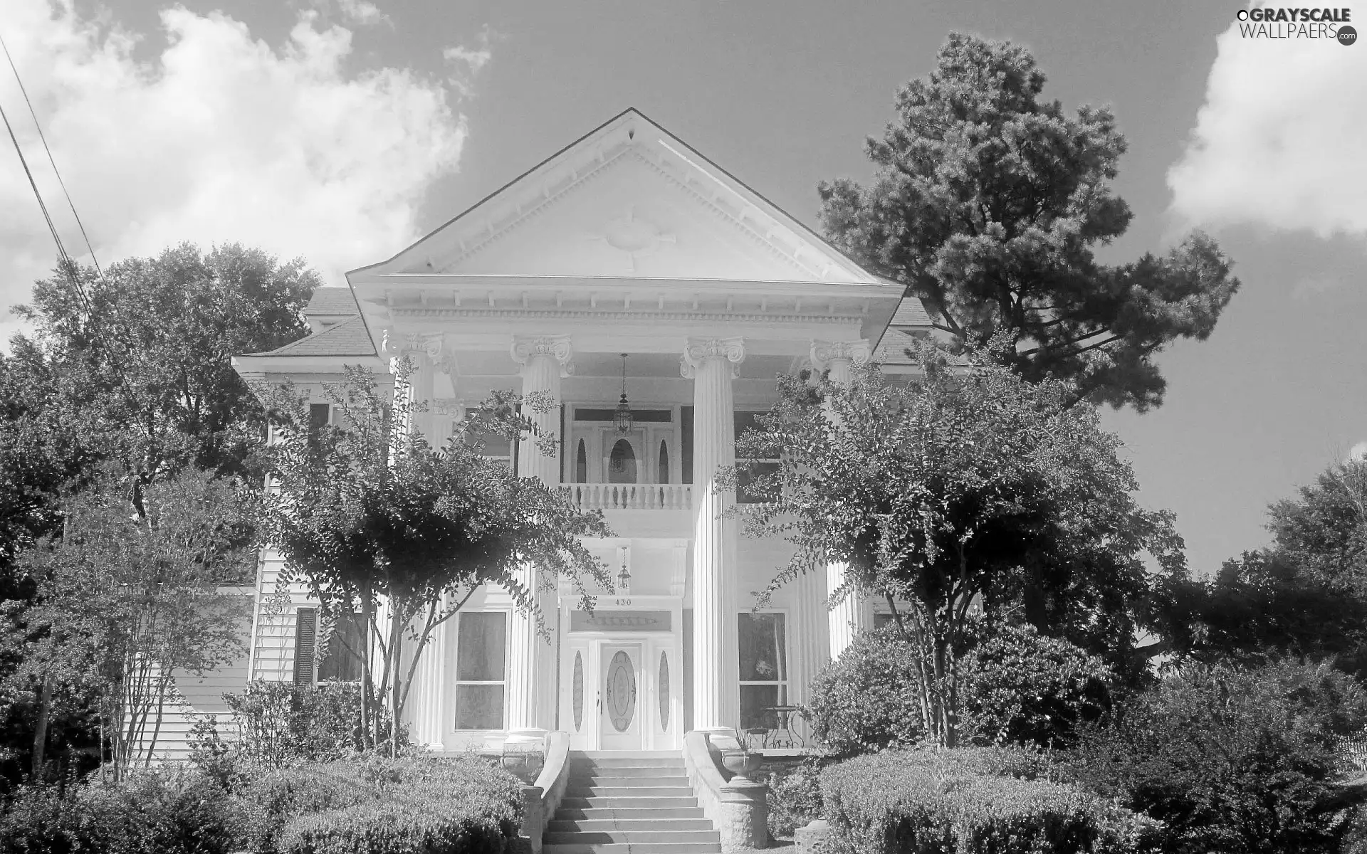 house, viewes, Bush, trees