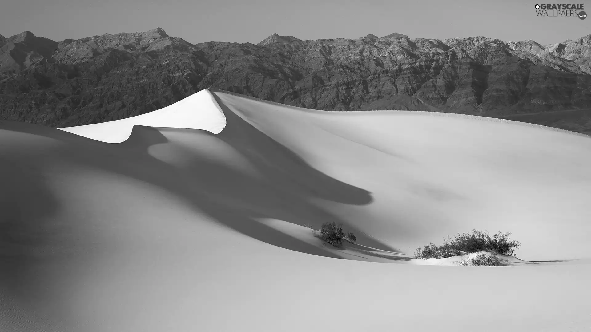 Bush, Leaf, Mountains, Desert, Sky