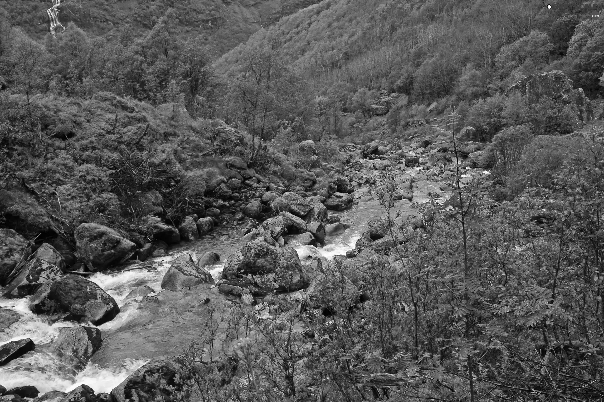 Mountain, Stones, Bush, brook