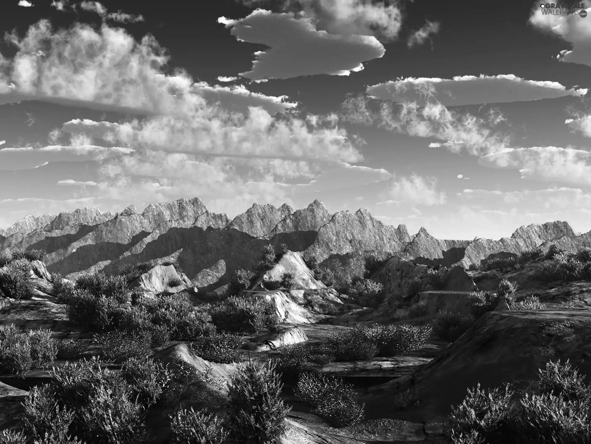 Bush, Rocky, Mountains