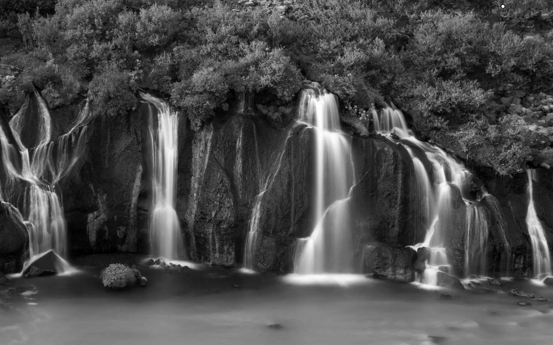 Bush, waterfall, rocks