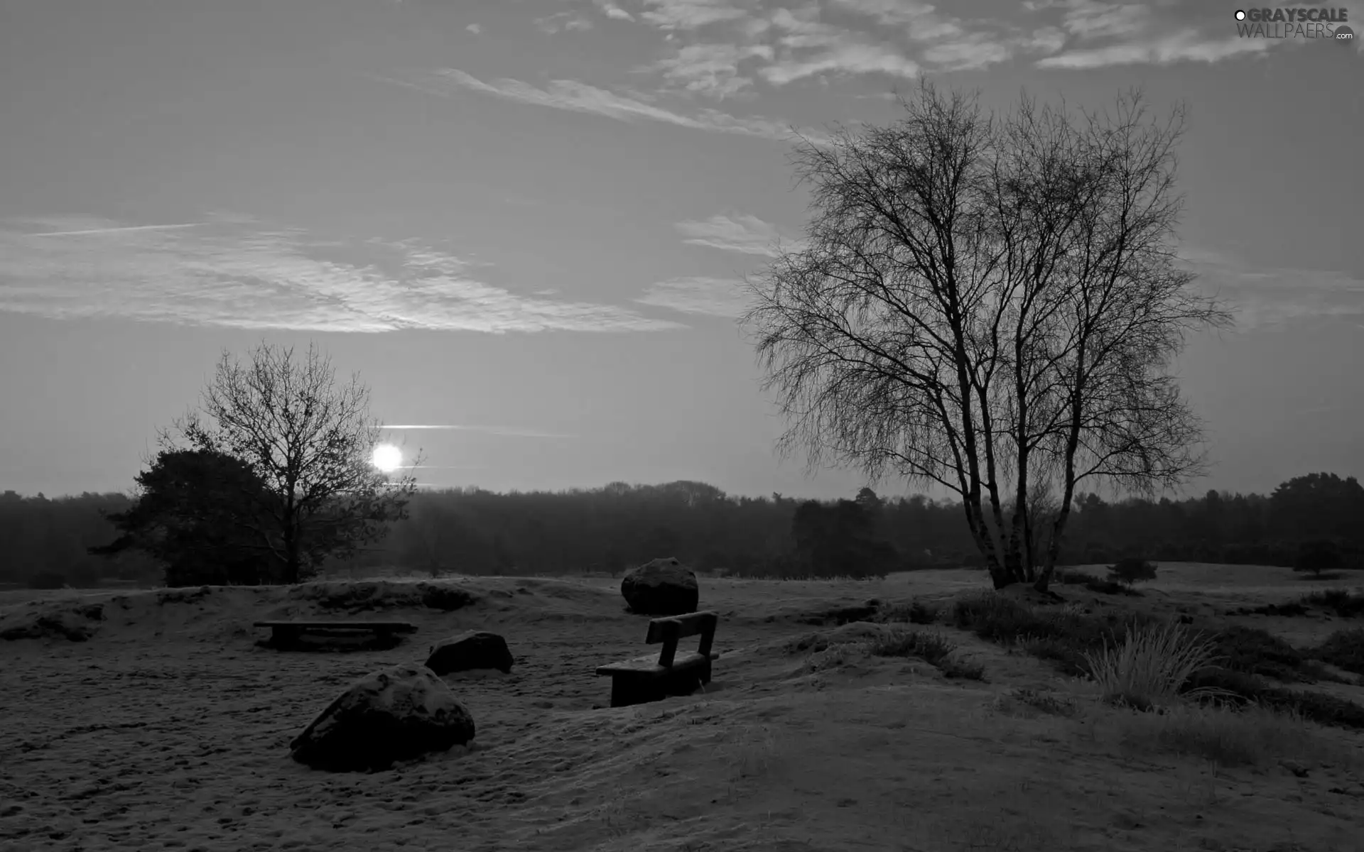 viewes, sun, Bench, trees, west, Bush, snow