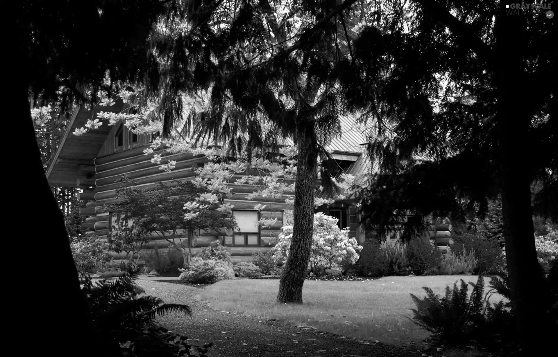 Bush, Spring, trees, viewes, house