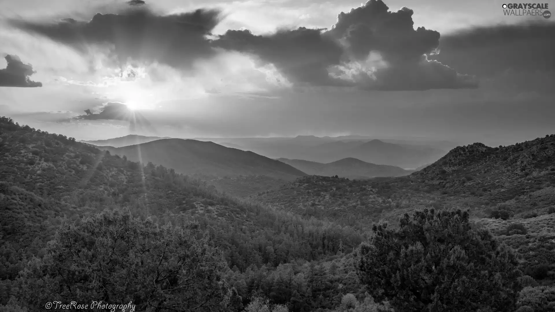 trees, Great Sunsets, Bush, clouds, viewes, Mountains