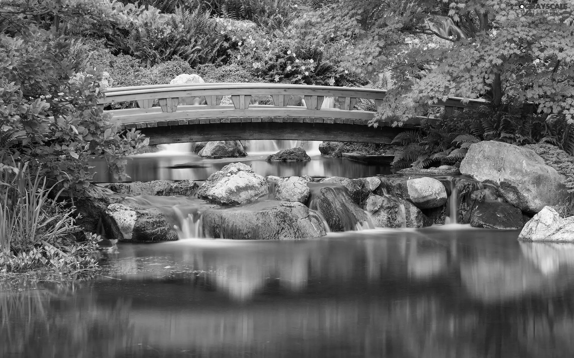 rocks, Park, trees, bridge, River, Bush, viewes