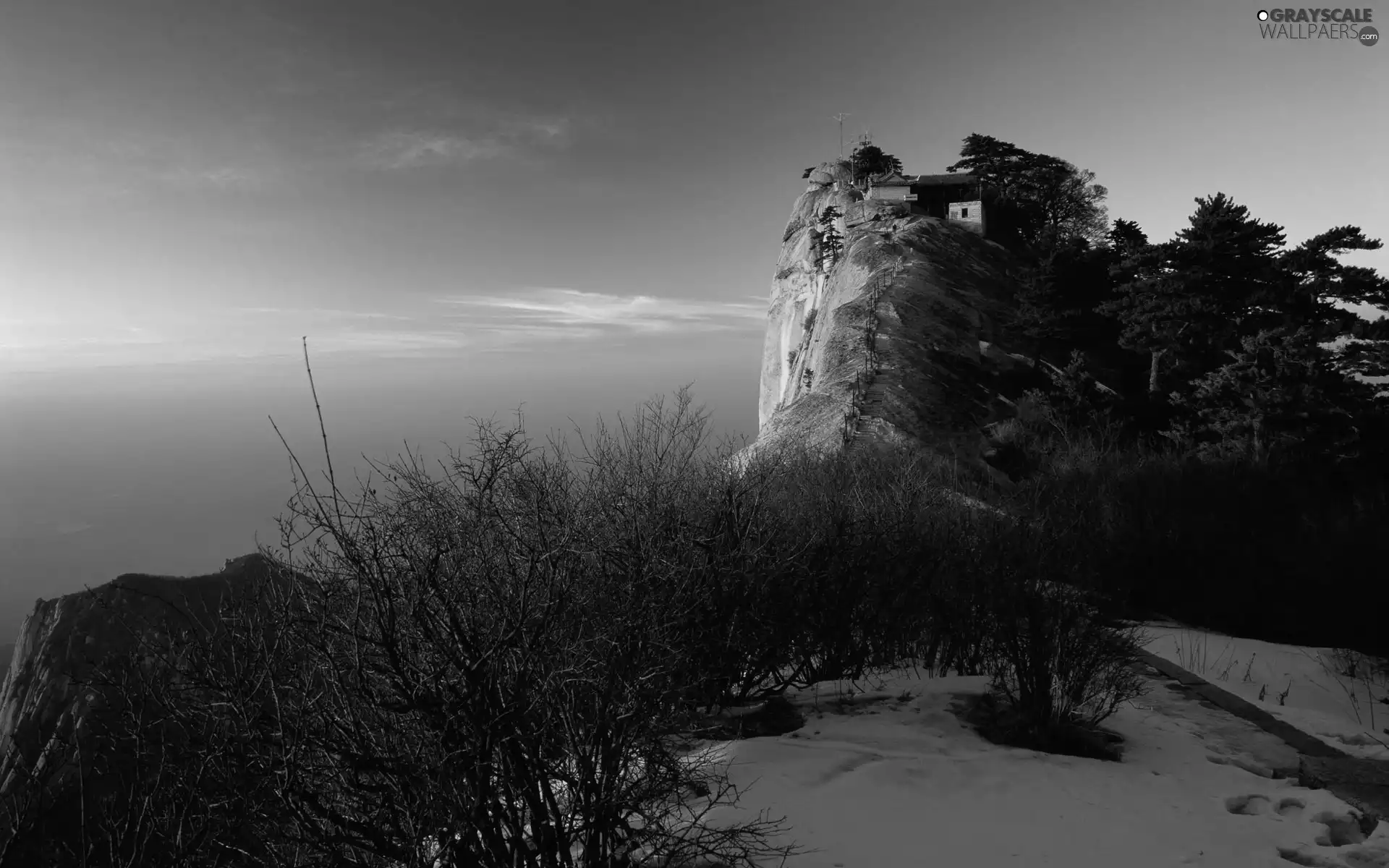 Bushes, Rocks, snow