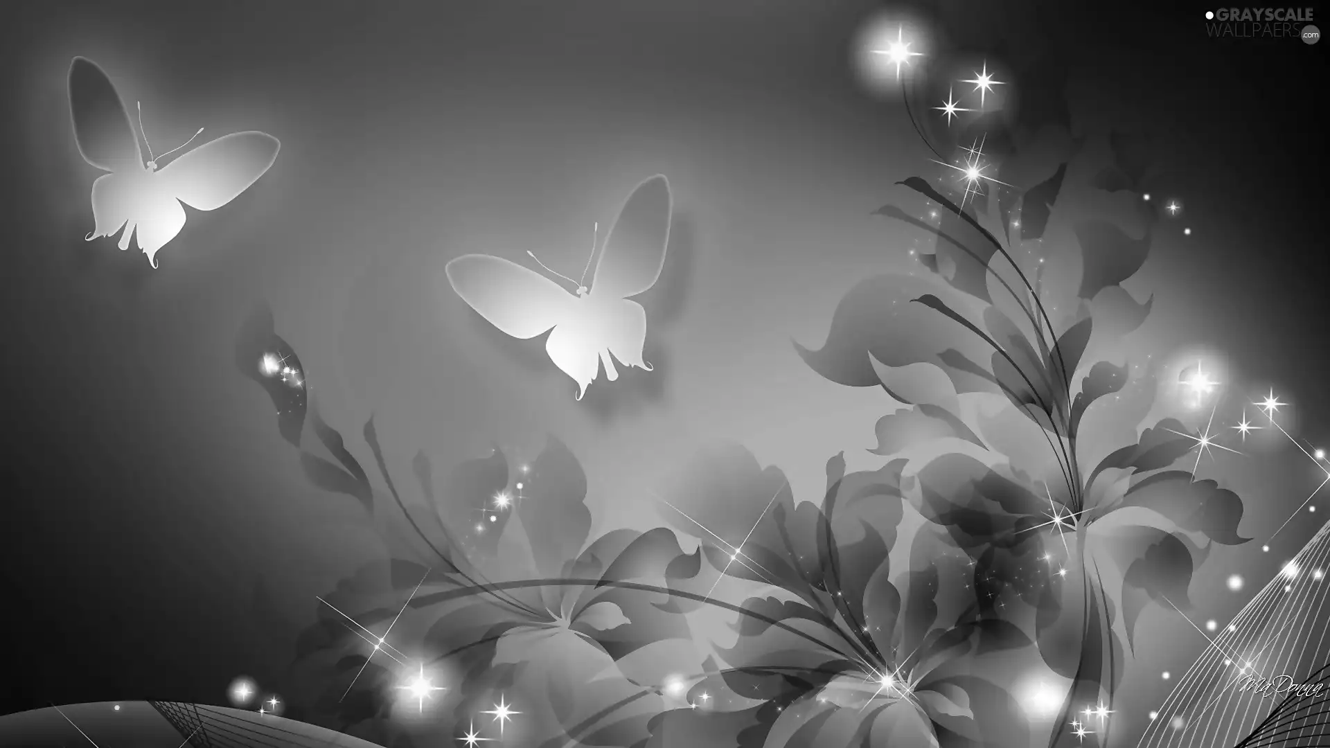butterflies, graphics, Flowers