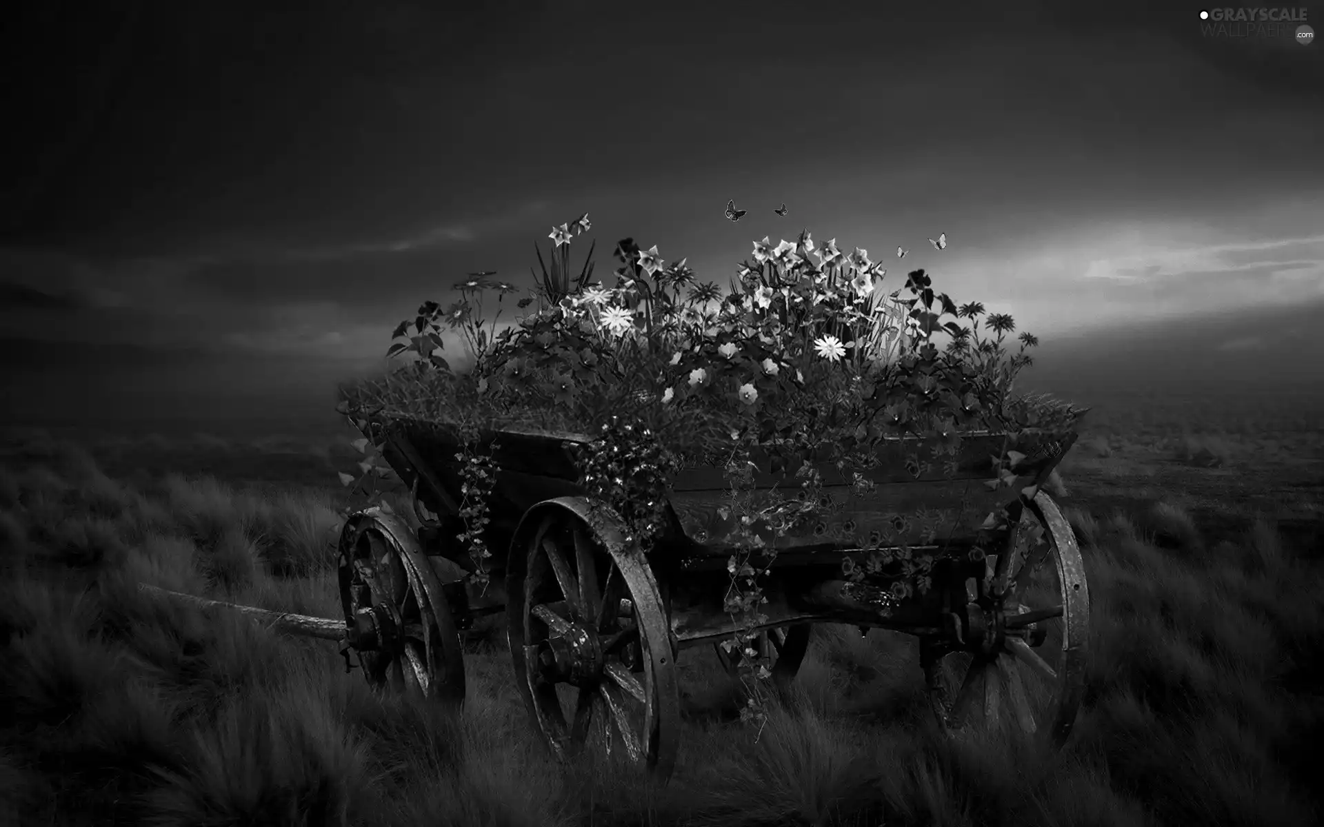 butterflies, wagon, Flowers