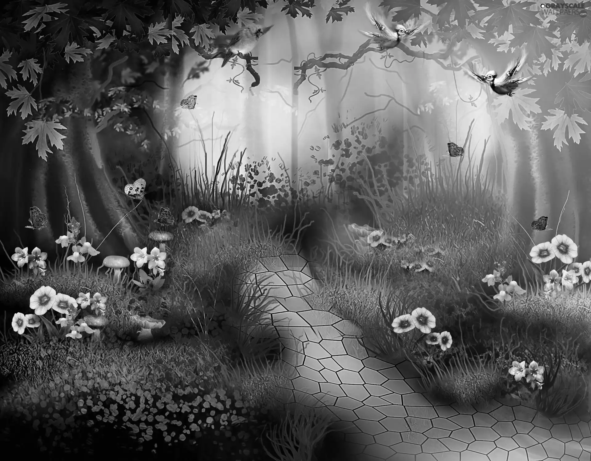 forest, birds, butterflies, Flowers