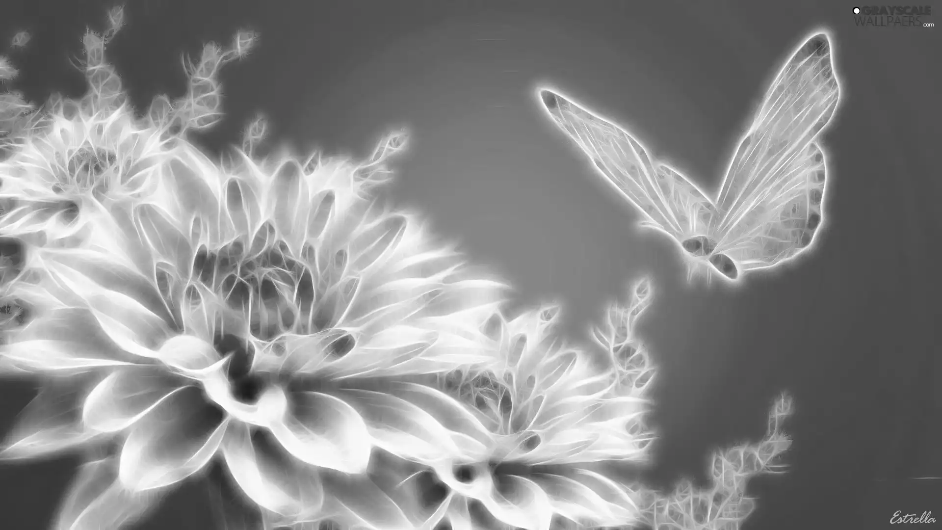 butterfly, 3D, background, Colourfull Flowers, Blue