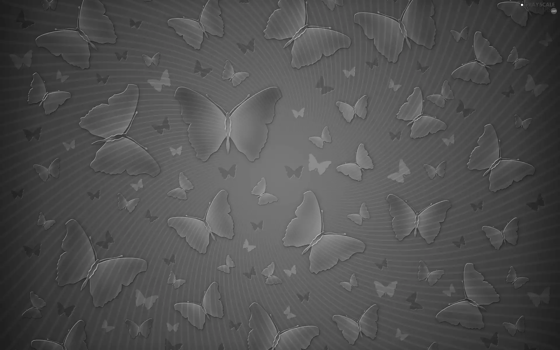 Blue, butterfly