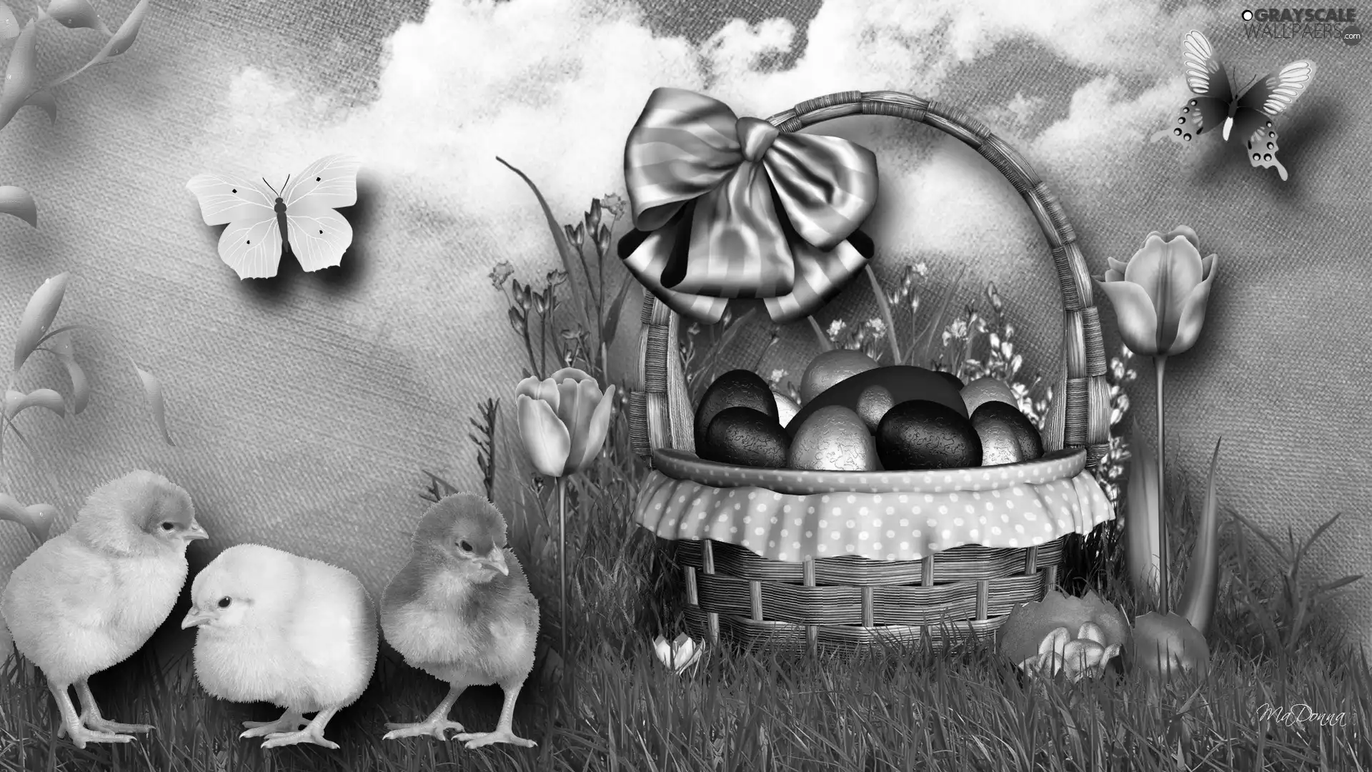chickens, Flowers, butterfly, color