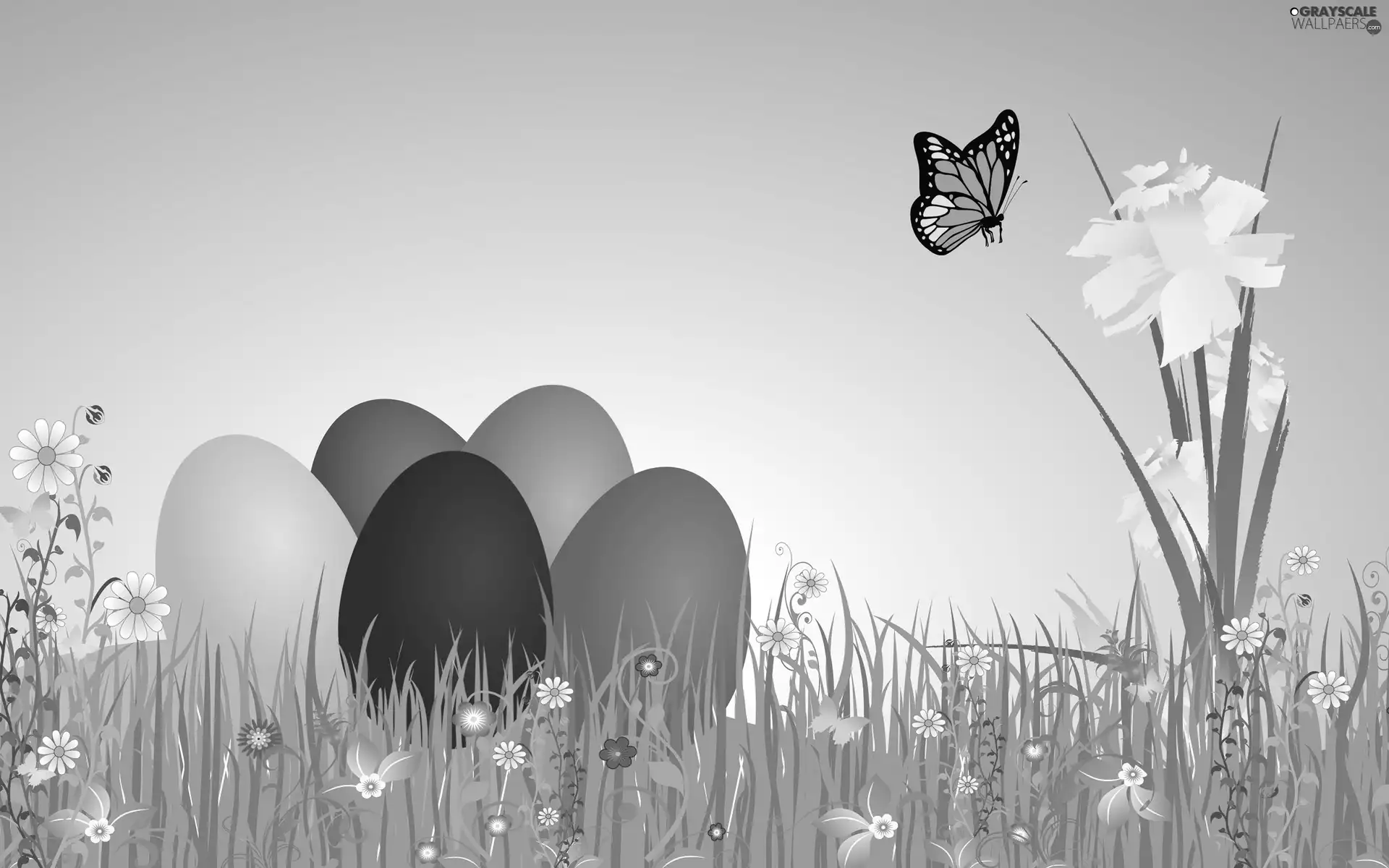 Easter, jonquil, butterfly, eggs