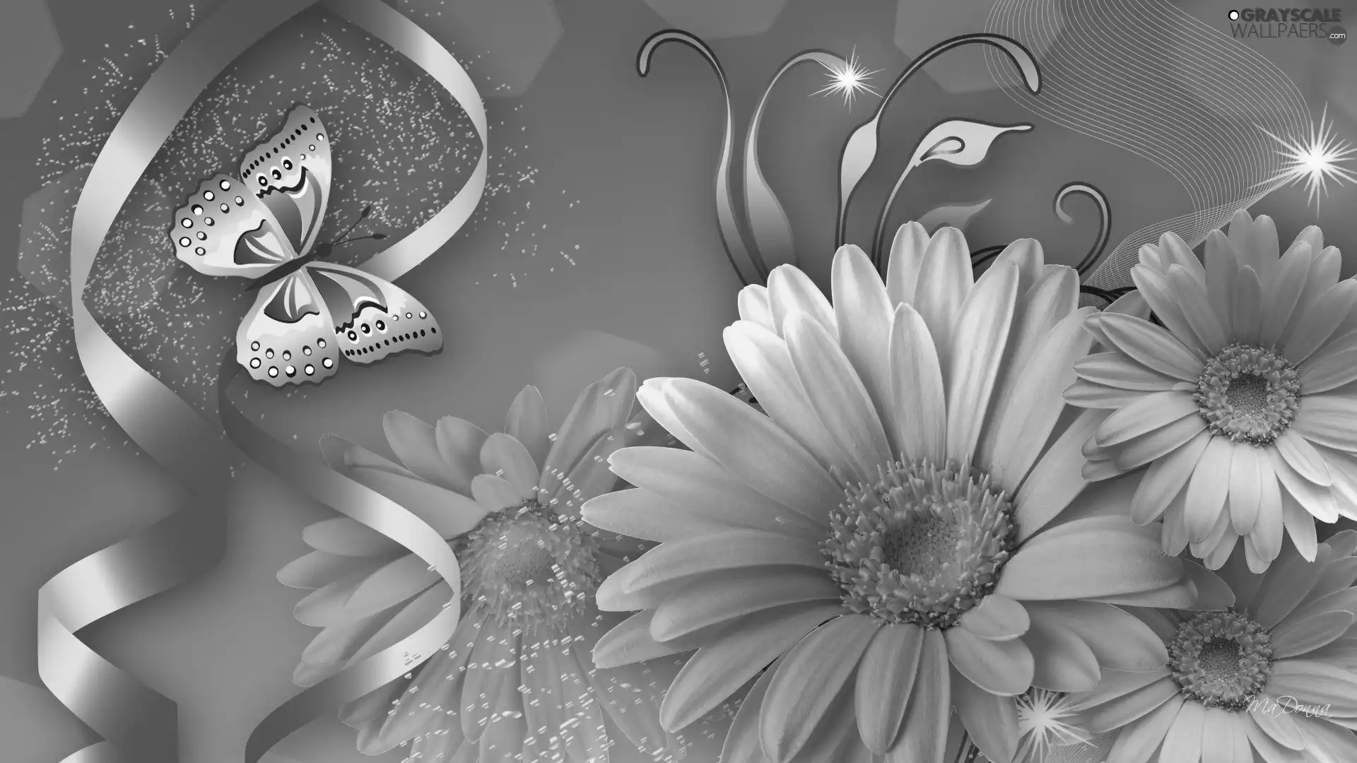 butterfly, Yellow, gerberas