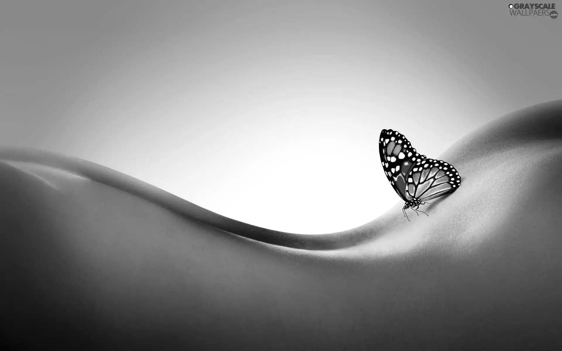 butterfly, Body, Womens