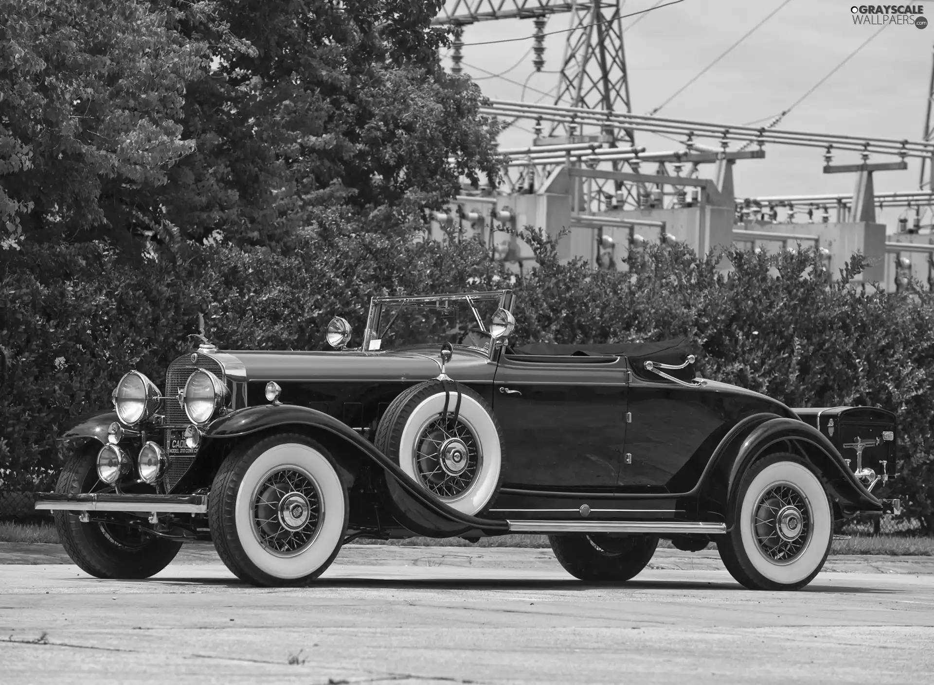 1931 Year, Cadillac V12, Cabriolet