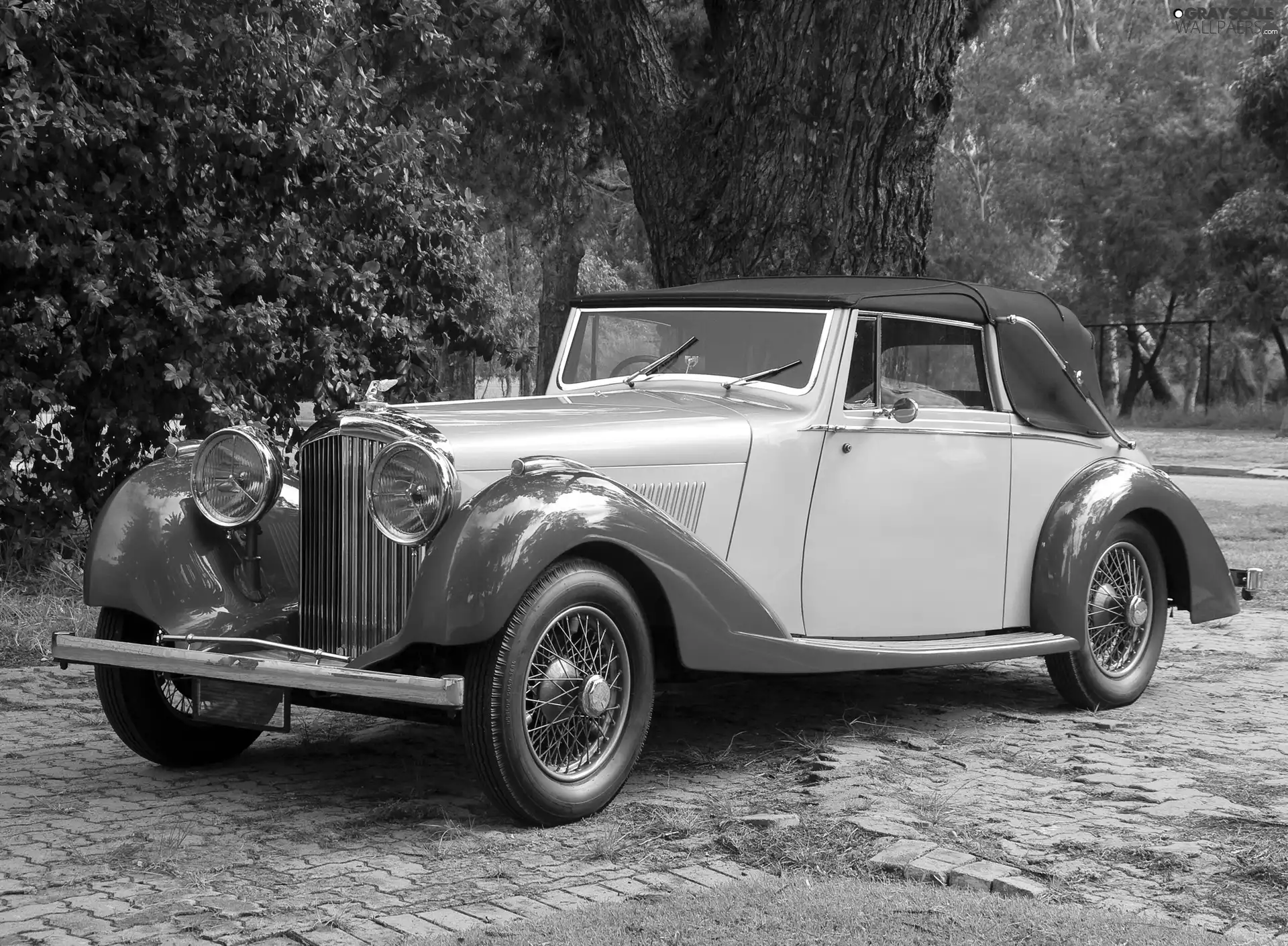 Cabriolet, Bentley, Derby