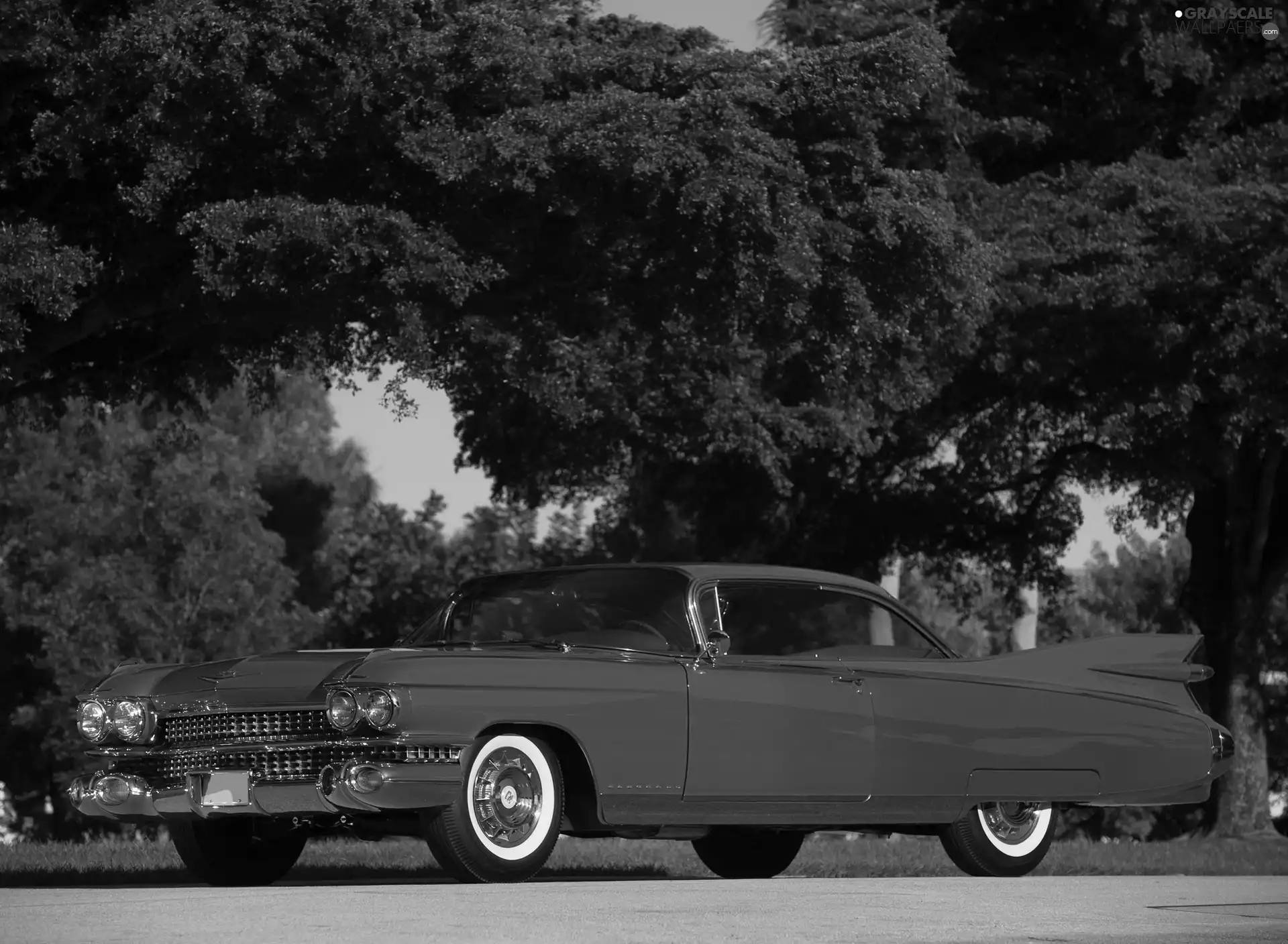 Red, antique, Cadillac Eldorado