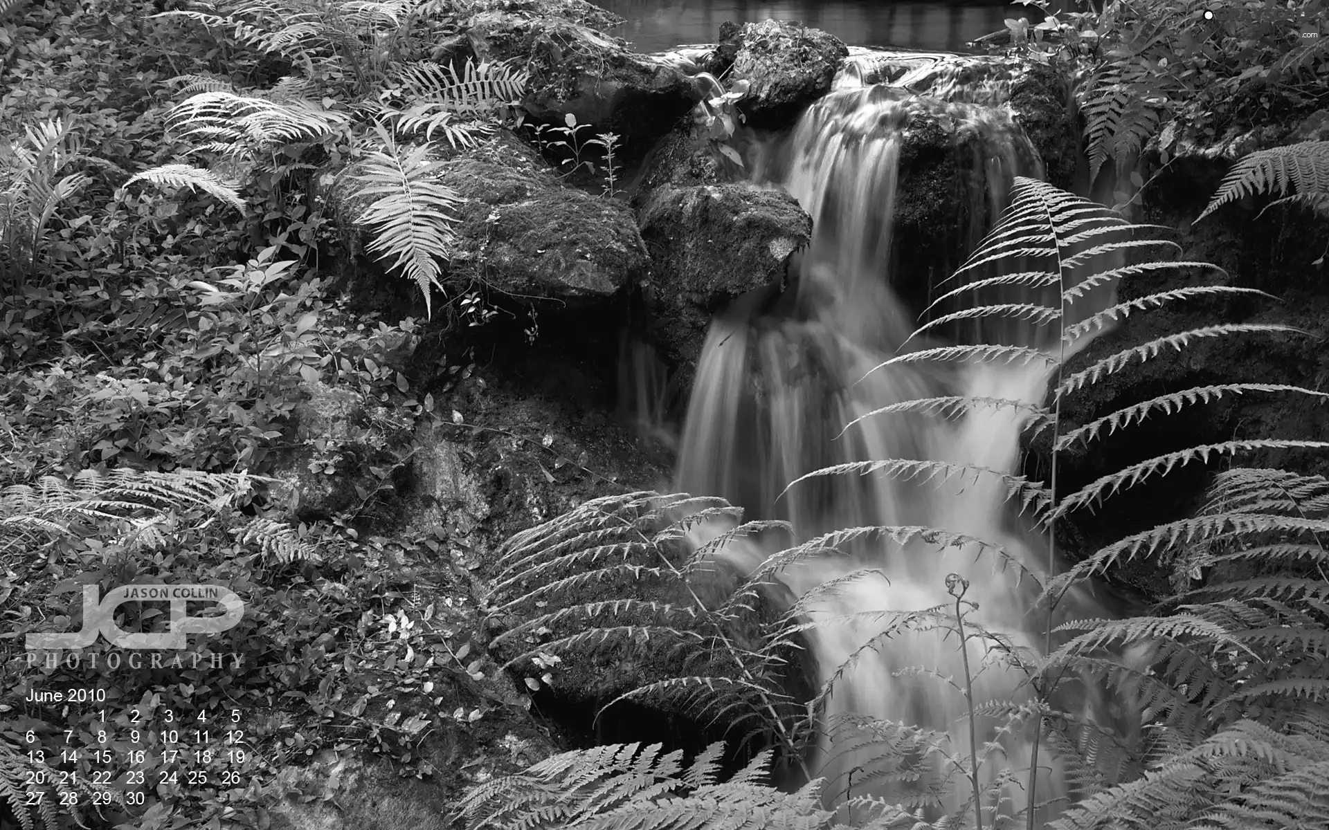 Calendar, waterfall, fern