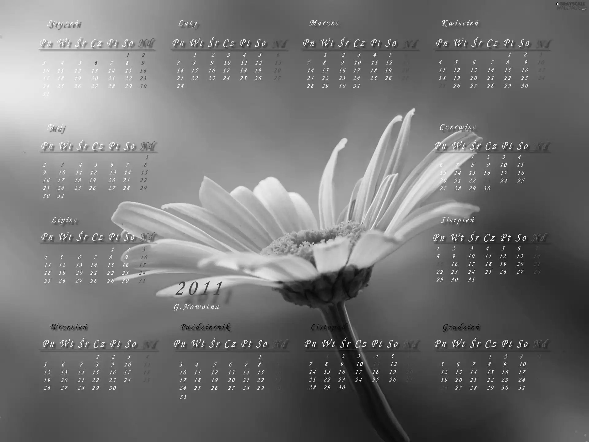 Calendar 2011, Margaretka