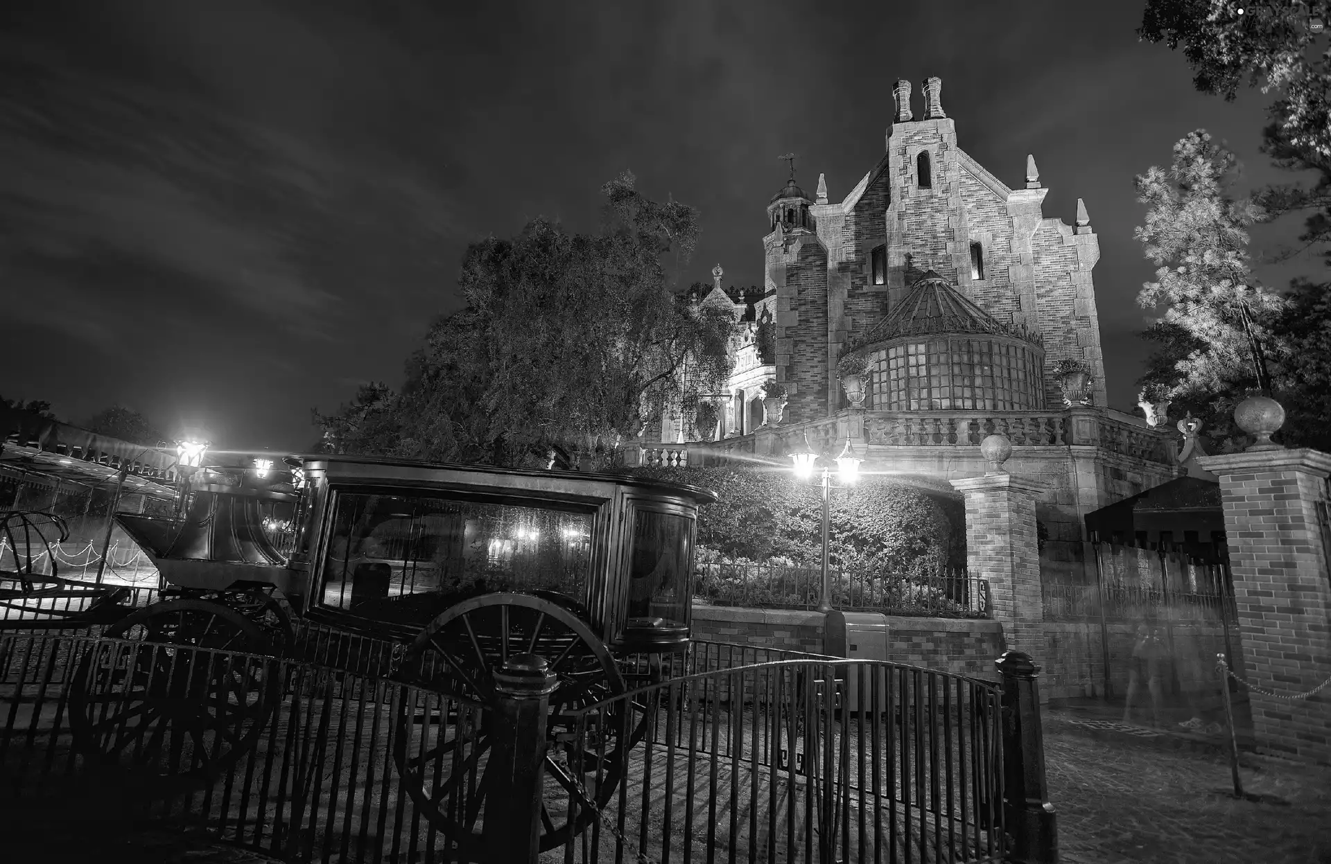 Castle, Disneyland, California, carriage