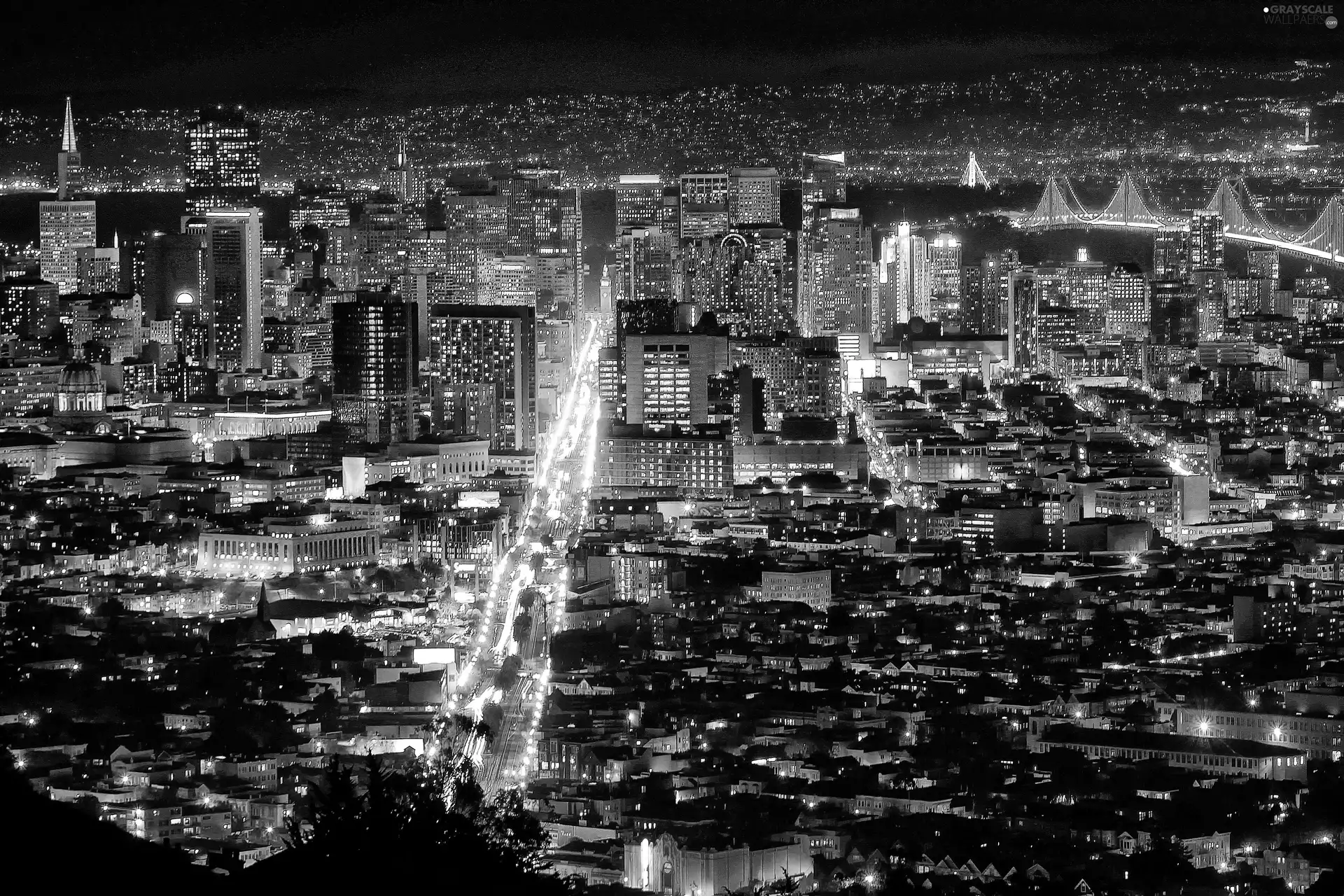 The United States, San Francisco, City at Night, California