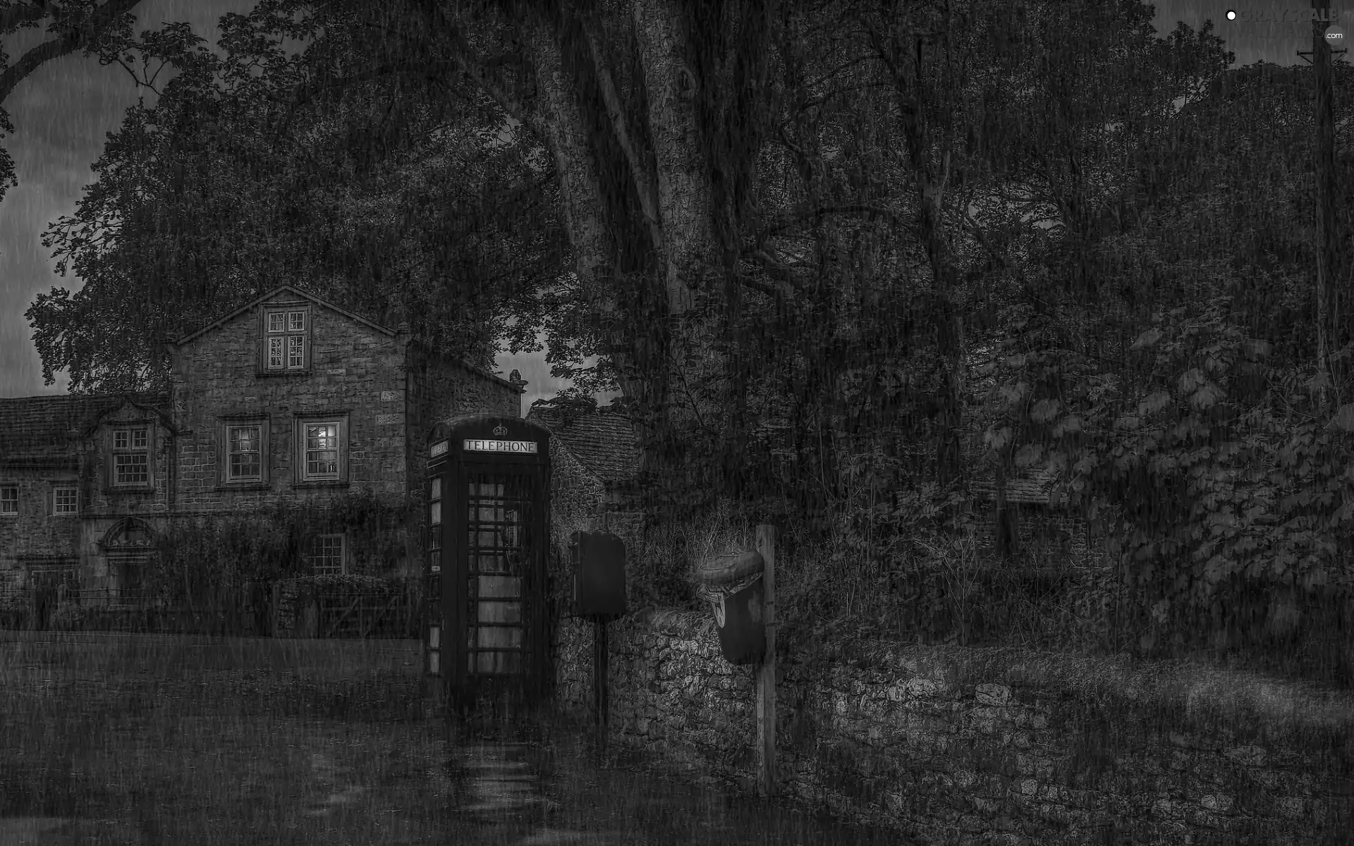 call box, Street, viewes, red hot, house, trees, Rain
