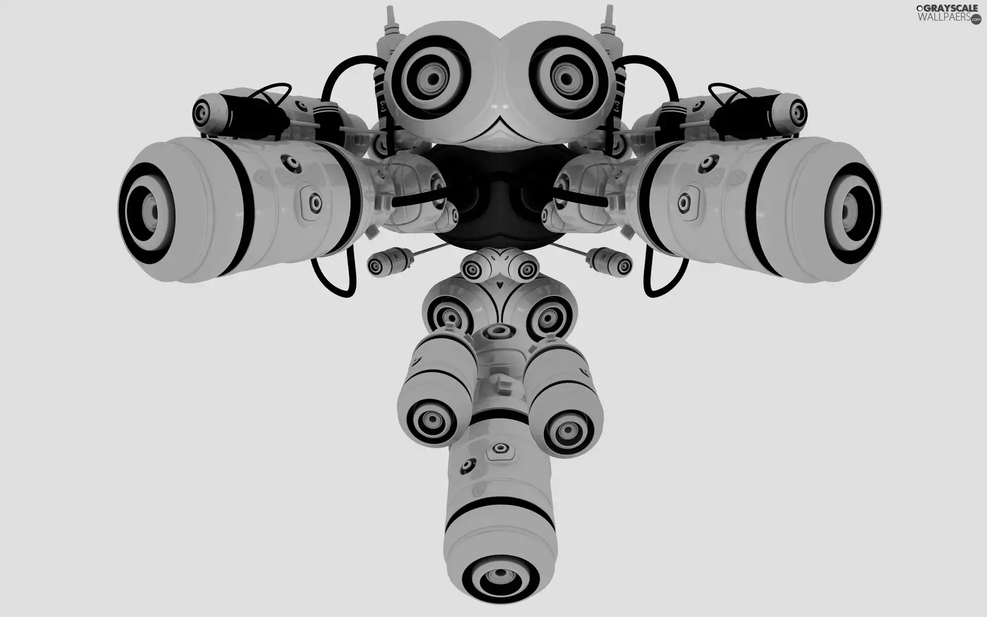 Robot, camera