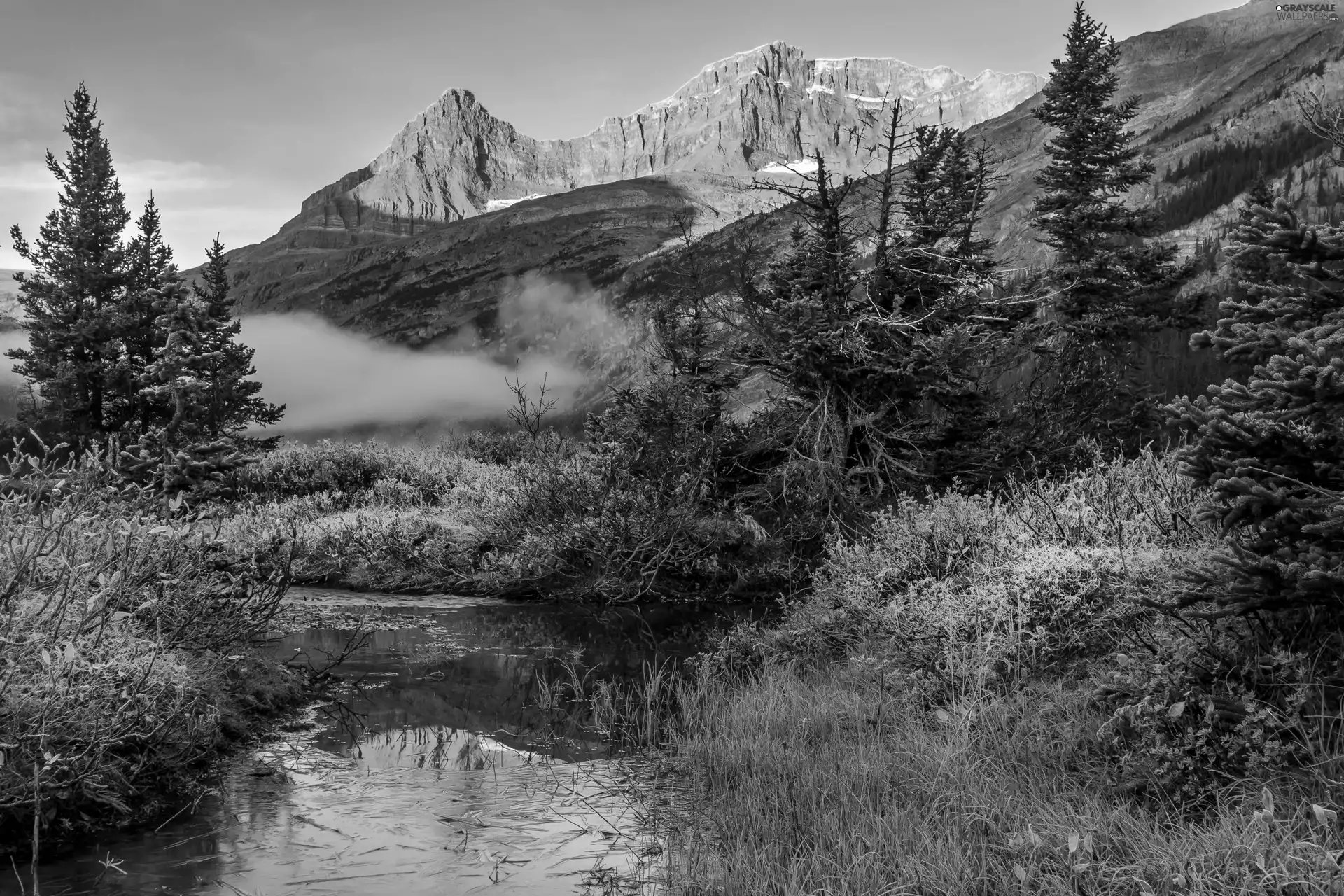 Canada, Mountains, Park