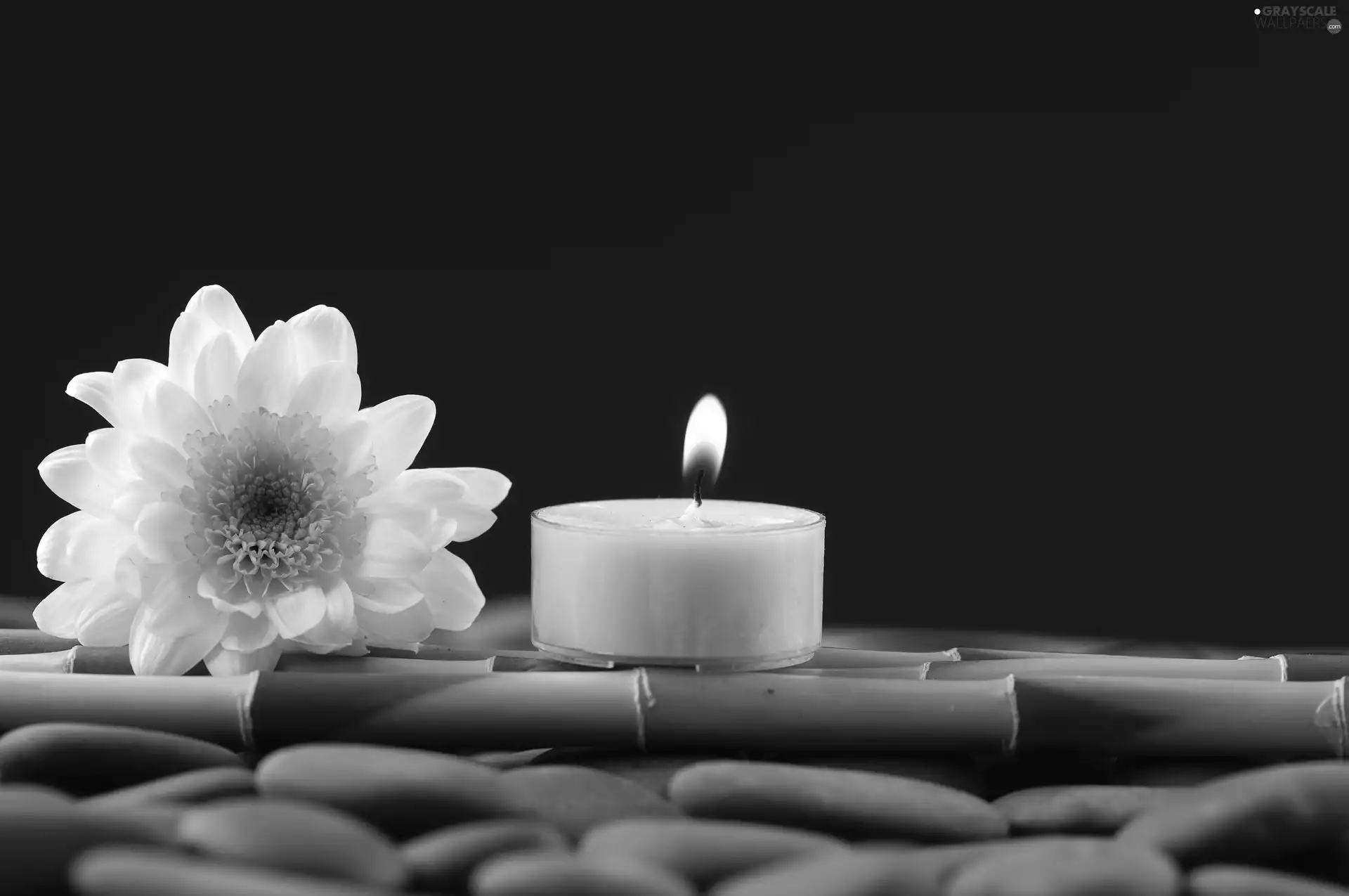 candle, composition, bamboo, Stones, Colourfull Flowers, Spa