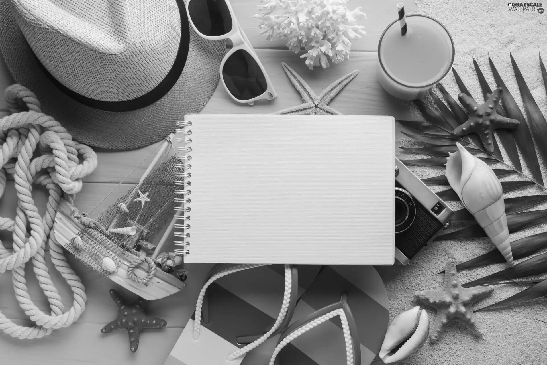 Flaps, Yacht, leaf, Hat, Shells, note-book, Candle, Sand, Camera, starfish, line, Glasses, reef, holiday