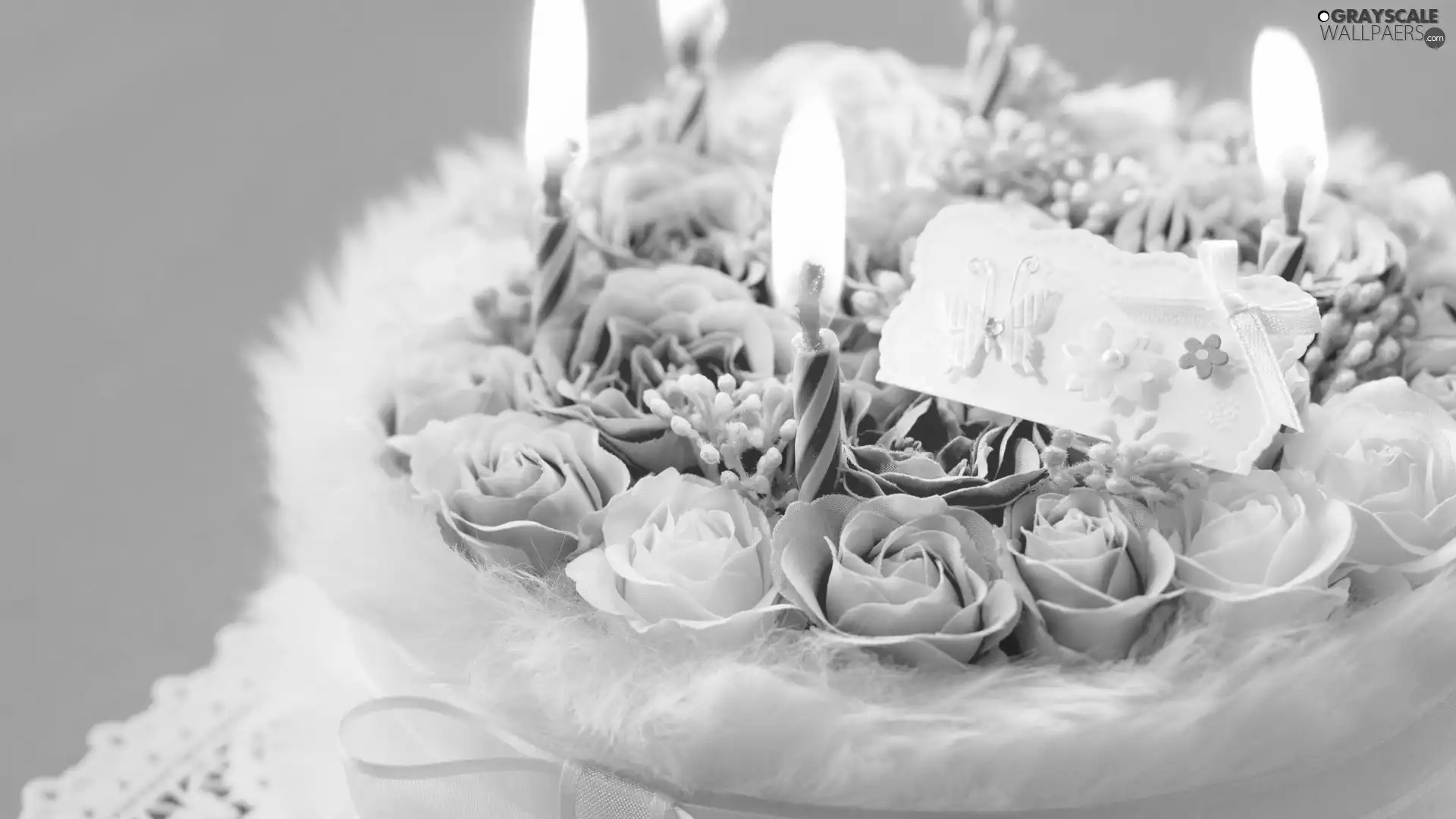 candles, Cake, roses