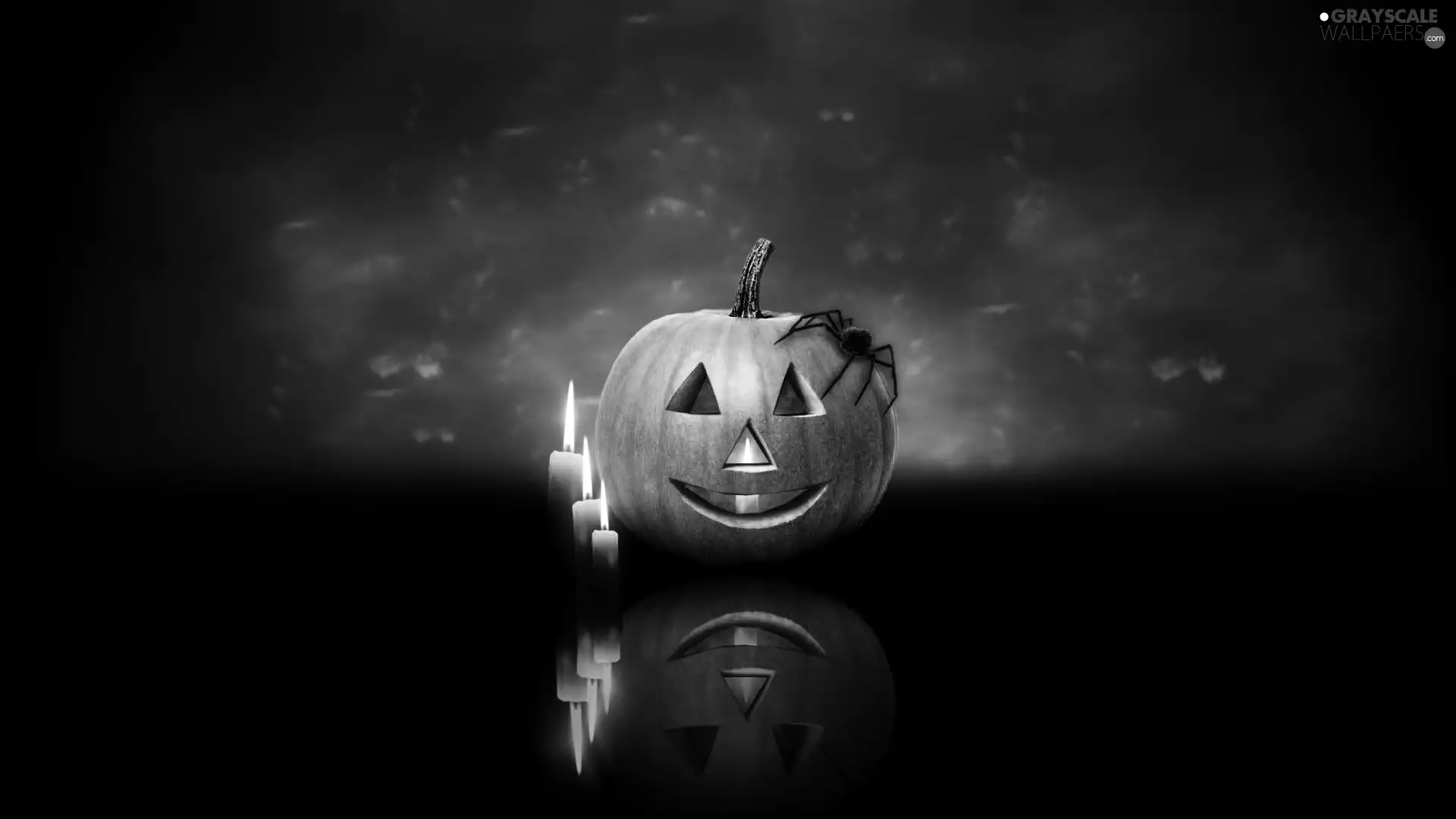 halloween, Spider, Candles, pumpkin