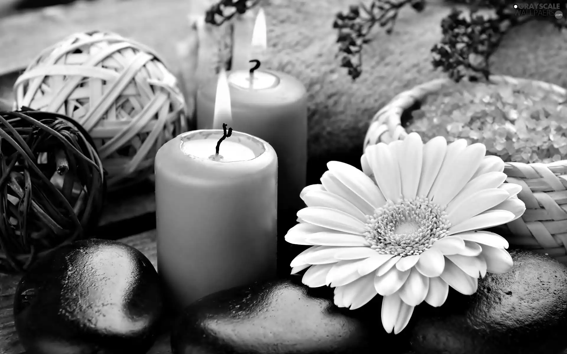 maritime, Spa, Gerbera, salt, composition, Candles, Stones