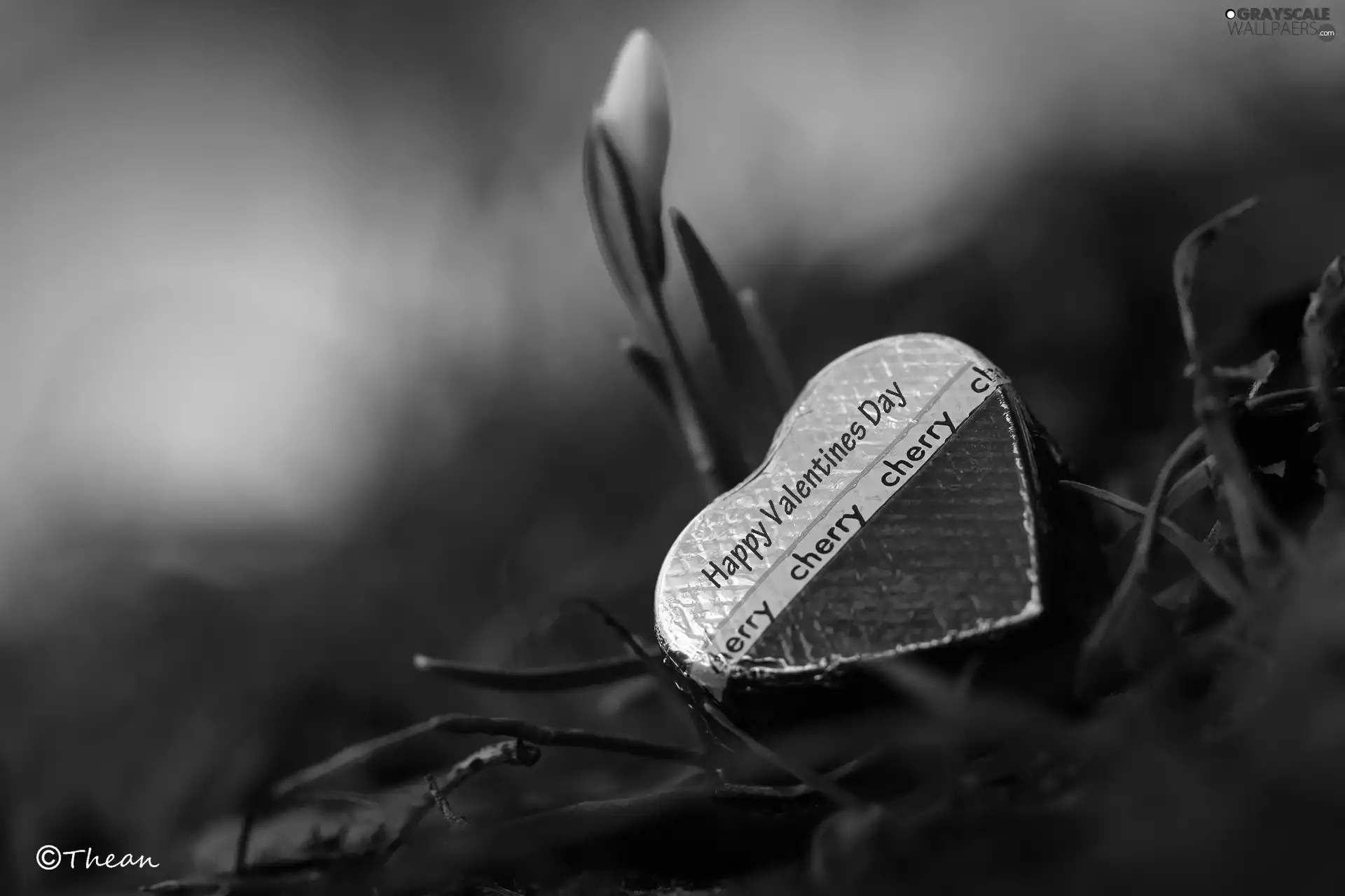 candy, Valentine