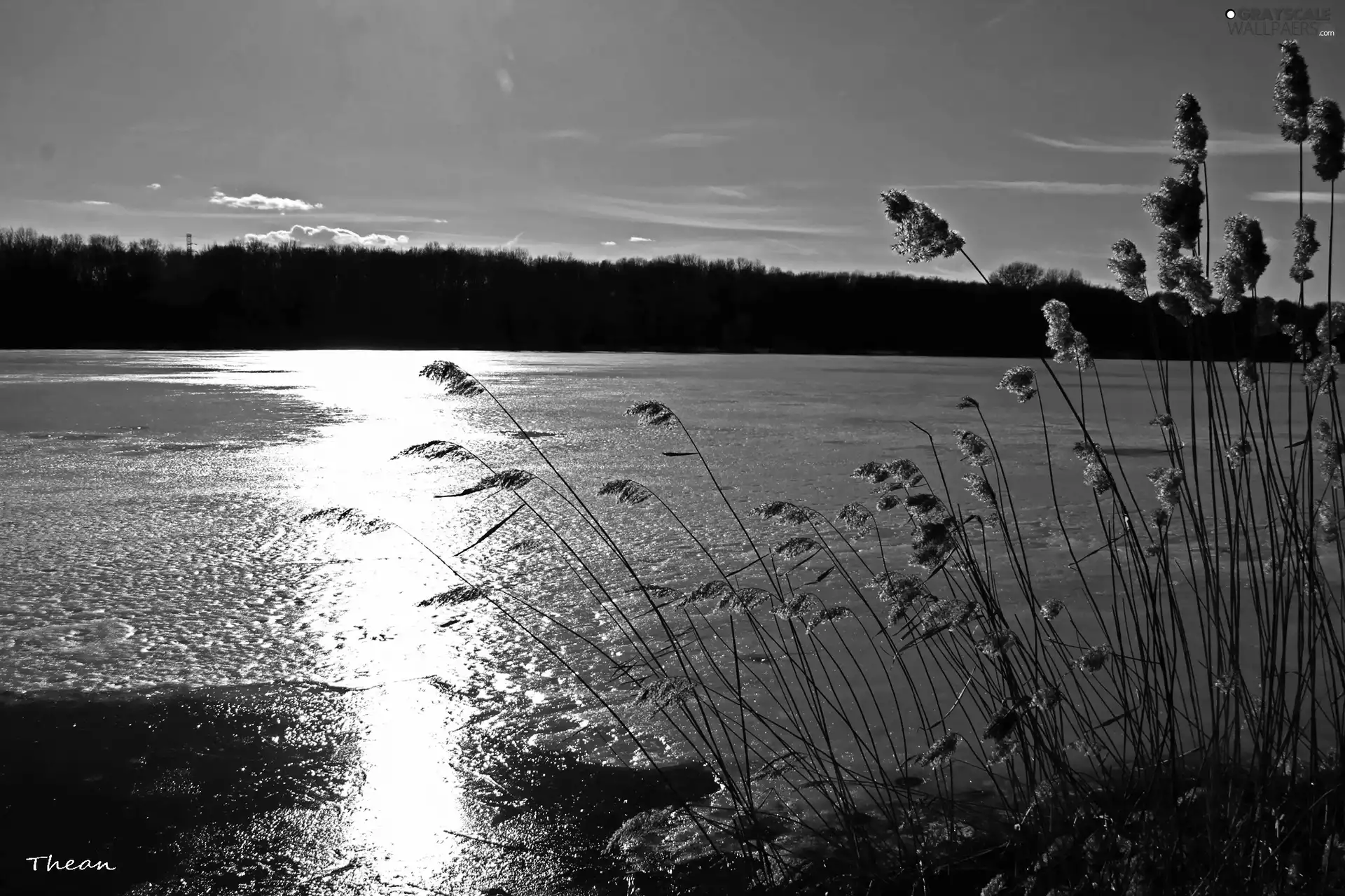 Cane, Great Sunsets, lake, dry, frozen