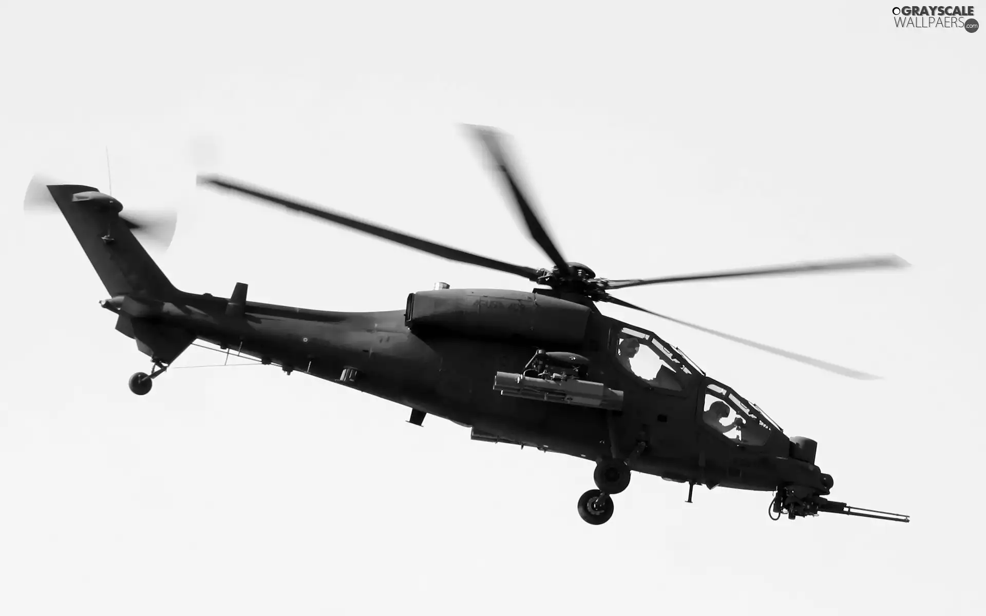 Agusta A129 Mangusta, cannon