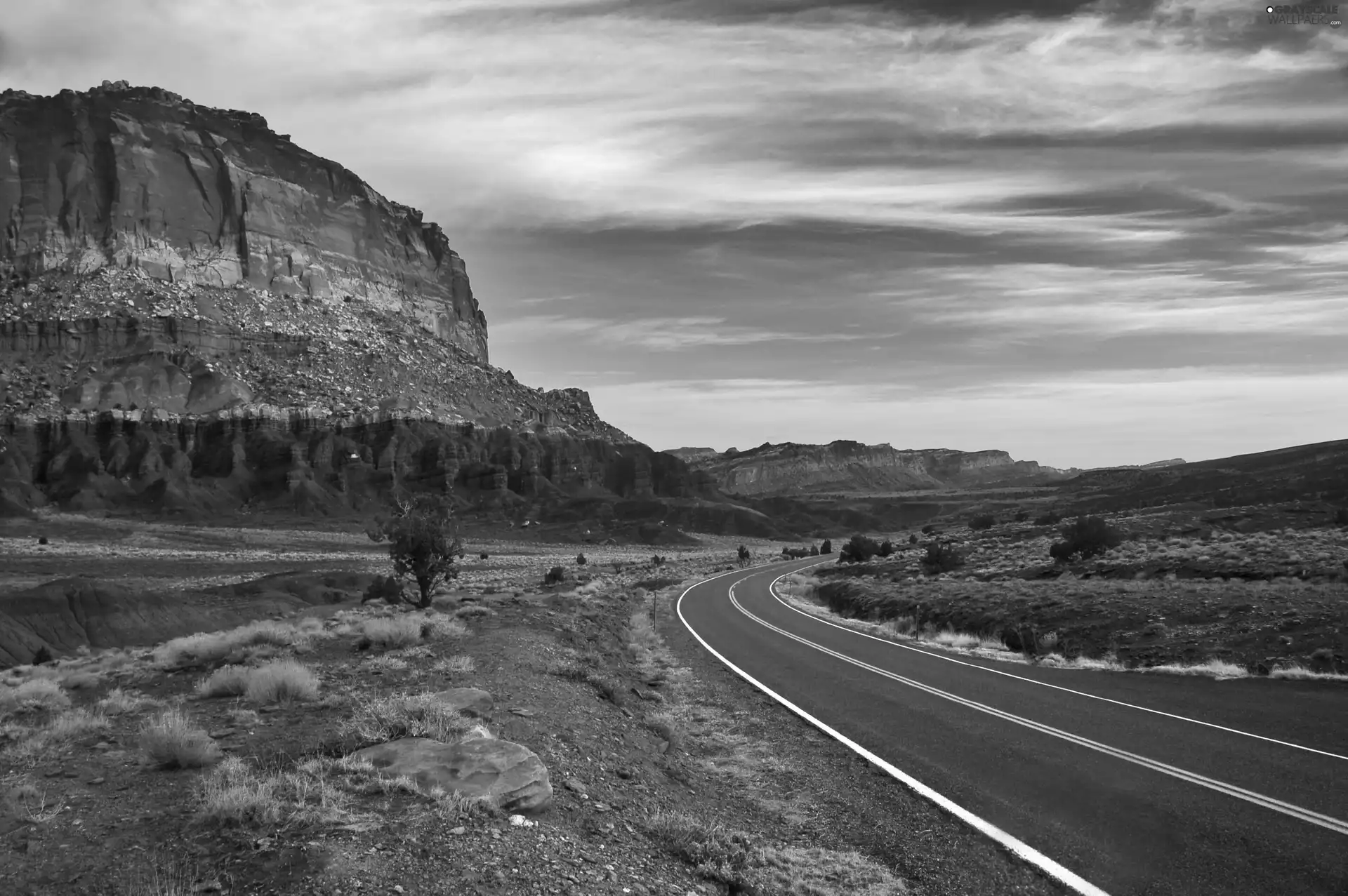 Arizona, canyon, viewes, Way, trees, united, state, Stones