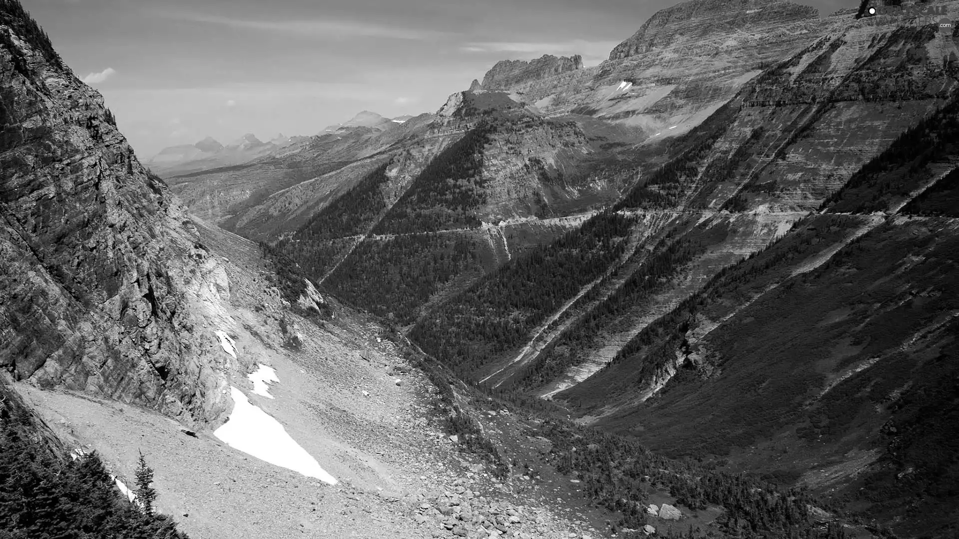 canyon, Mountains, forest