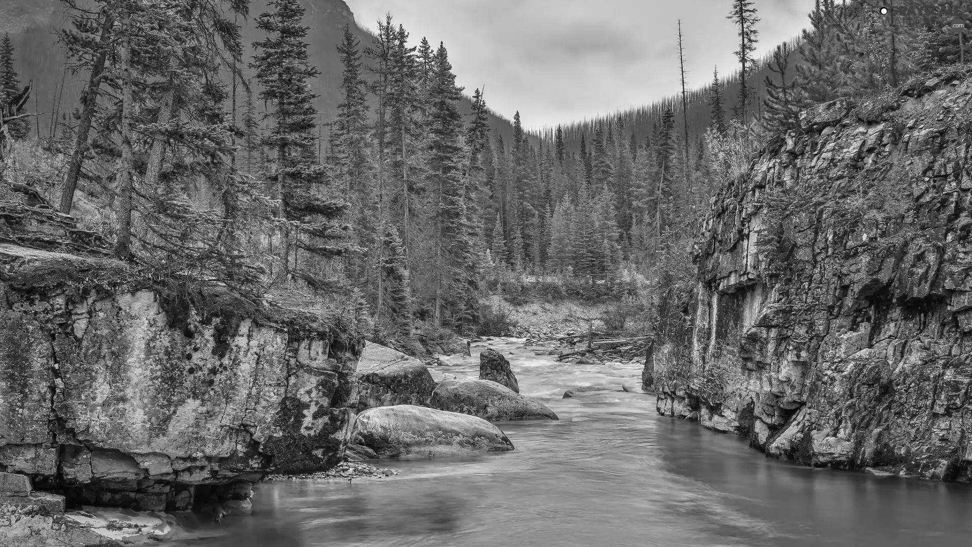 Tokumm Creek, Kootenay National Park, Marble Canyon Provincial Park, River, Mountains, Stones, viewes, Canada, Province of British Columbia, trees, rocks