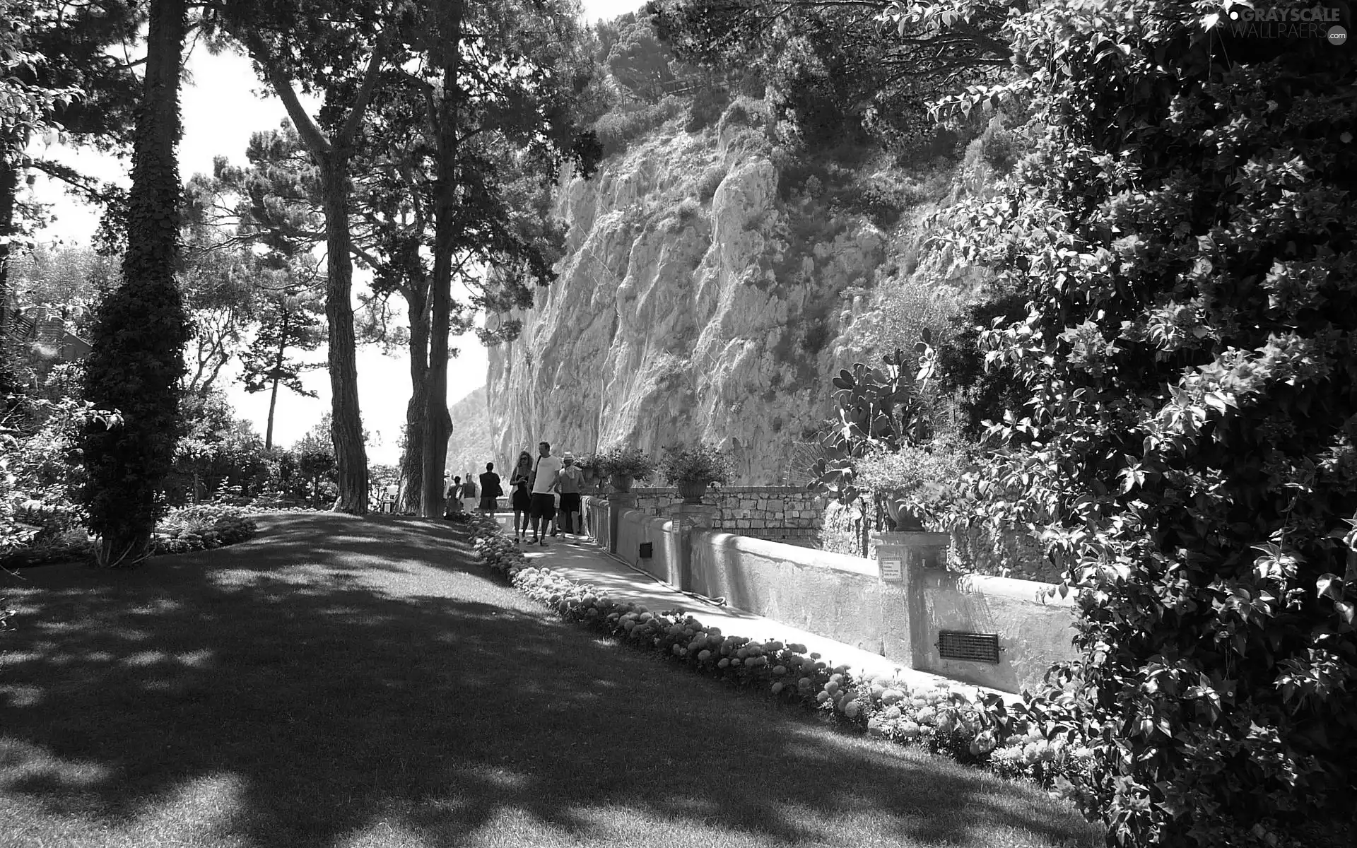 Flowers, Park, Capri, Italy, walkers, Rocks