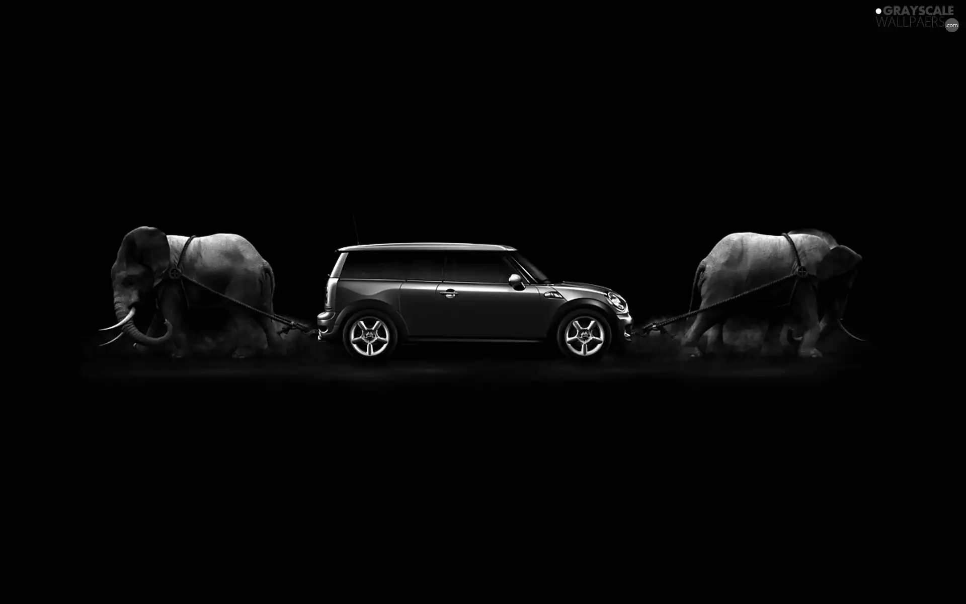 car, Elephants, double