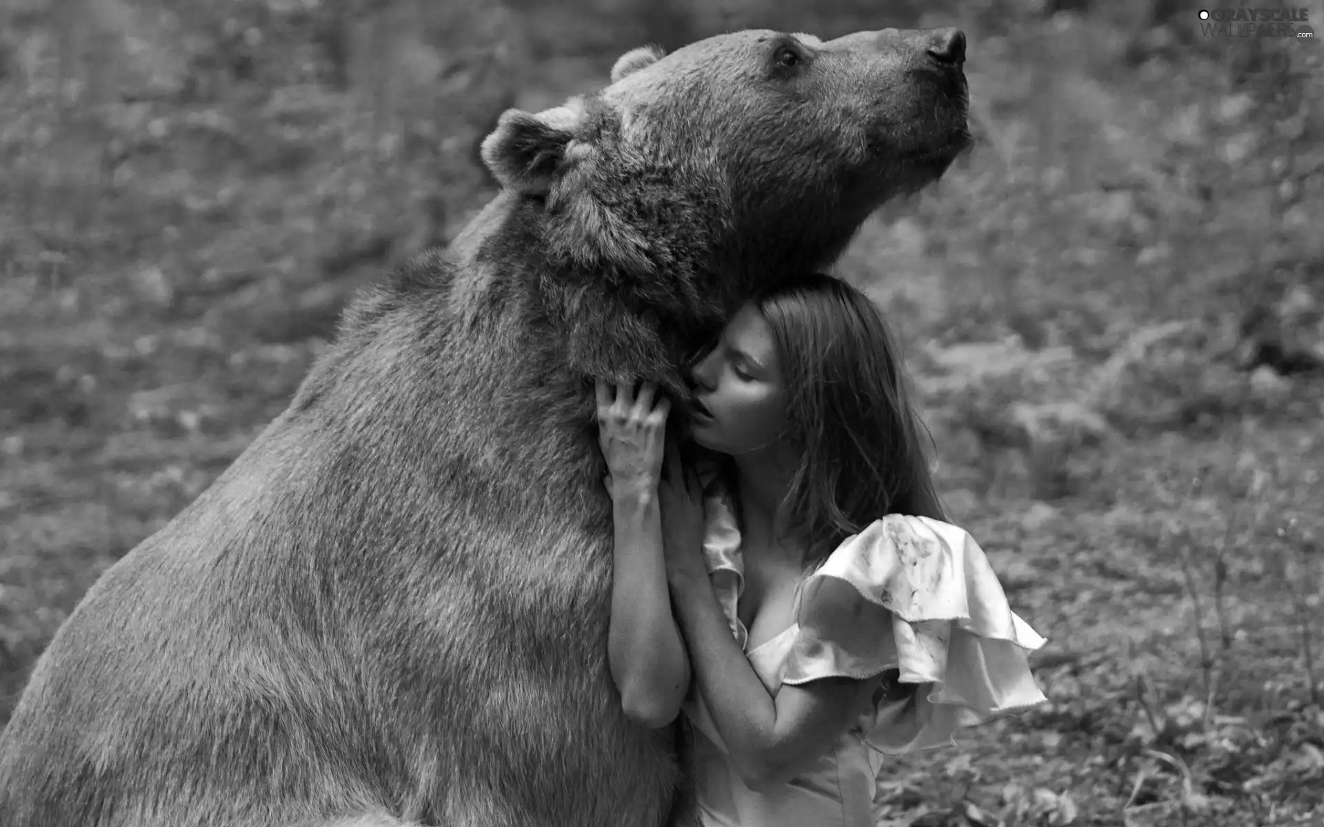 girl, car in the meadow, friendship, bear