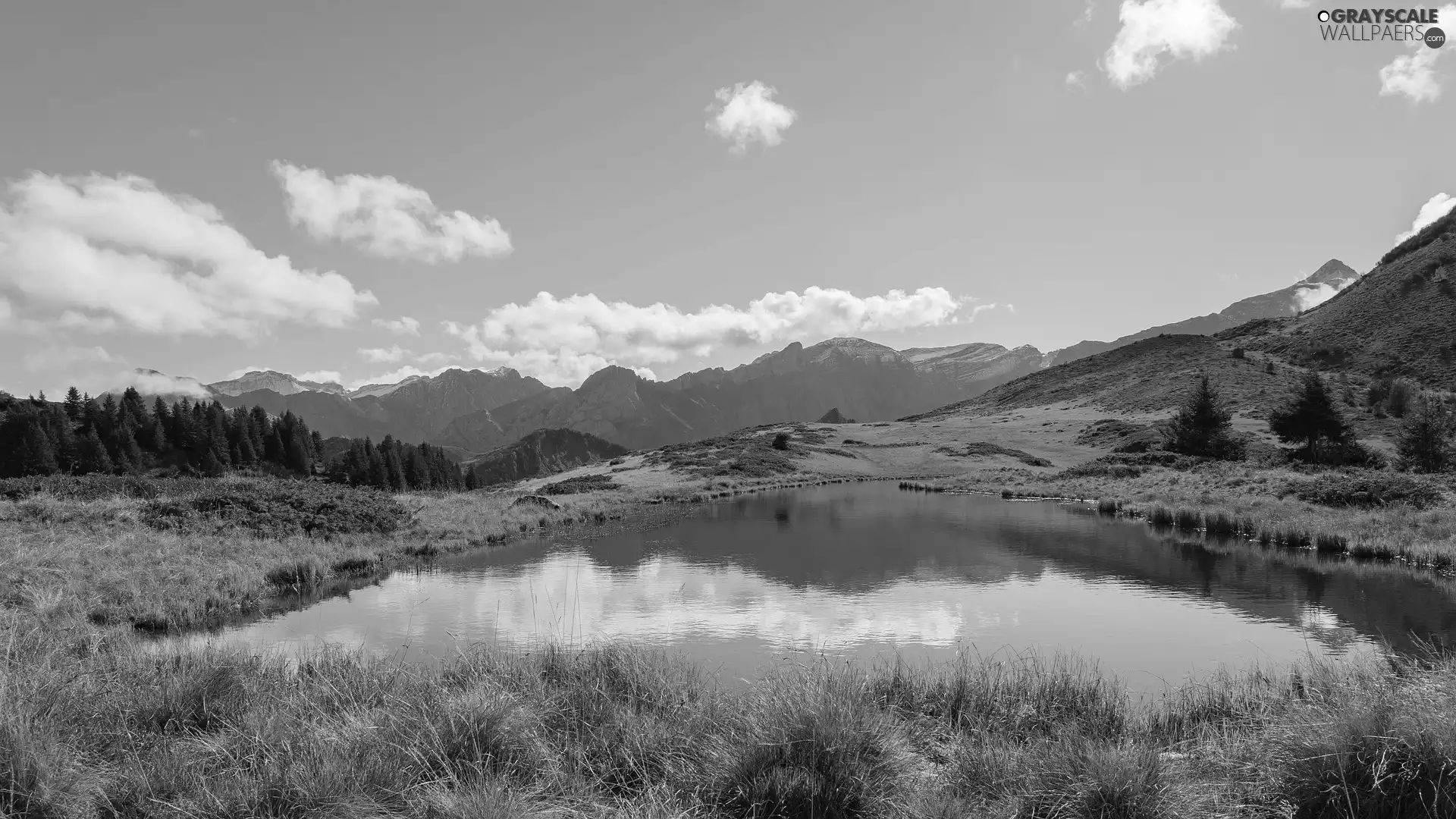 Pond - car, grass, Mountains, Yellowed