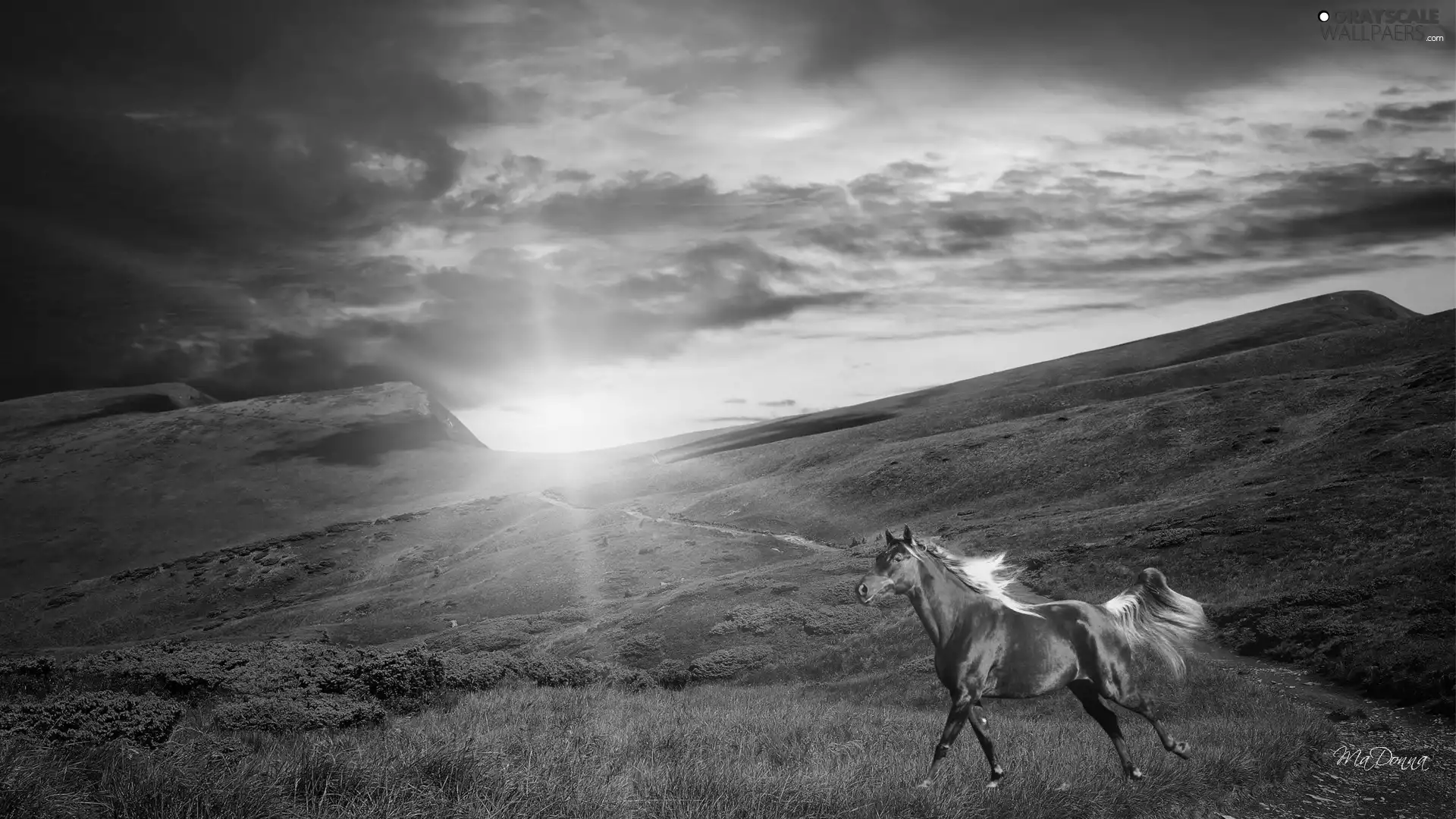 west, car in the meadow, Horse, sun
