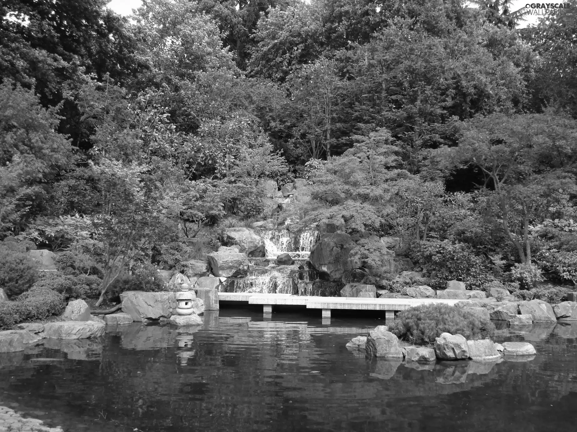 Garden, Pond - car