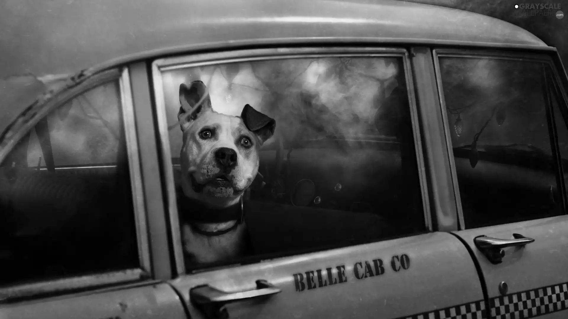 sad, ##, car, dog