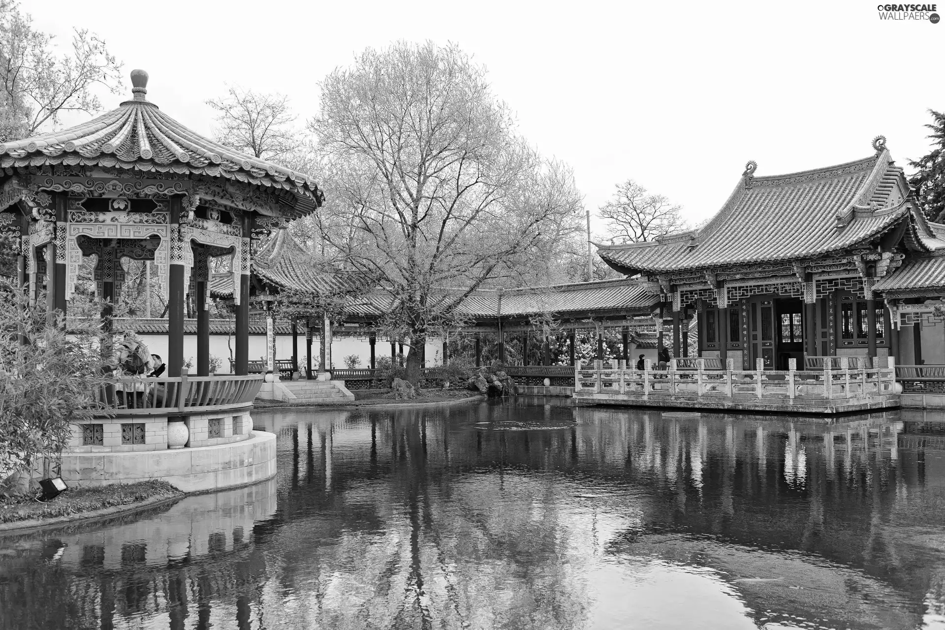 Pond - car, arbour, Switzerland, Chinese Garden, Zurich